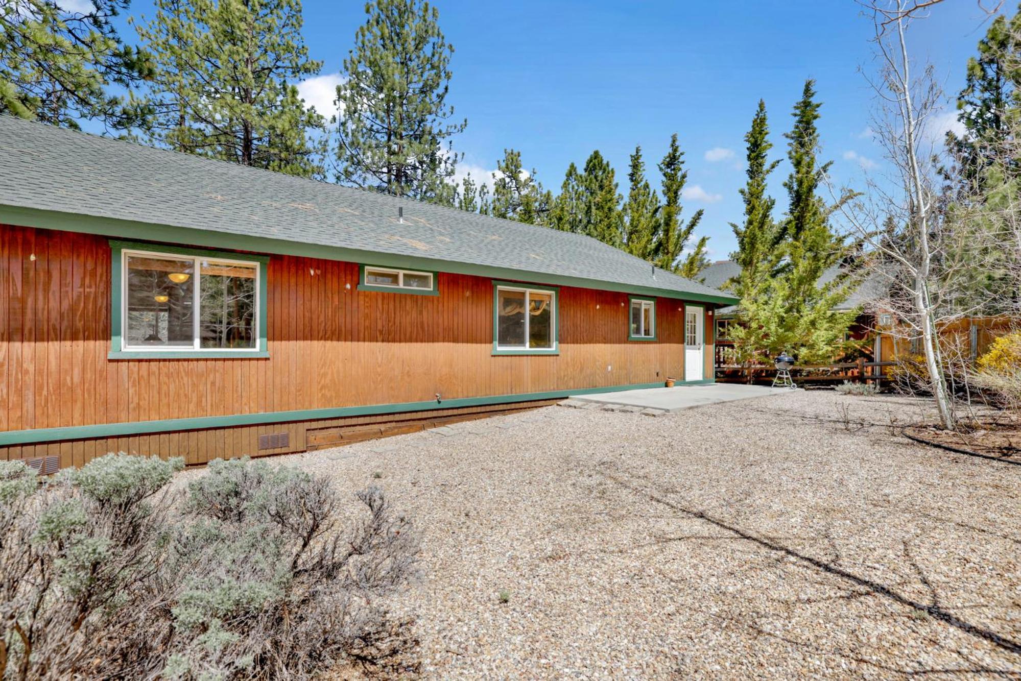 Aspen grove #1041