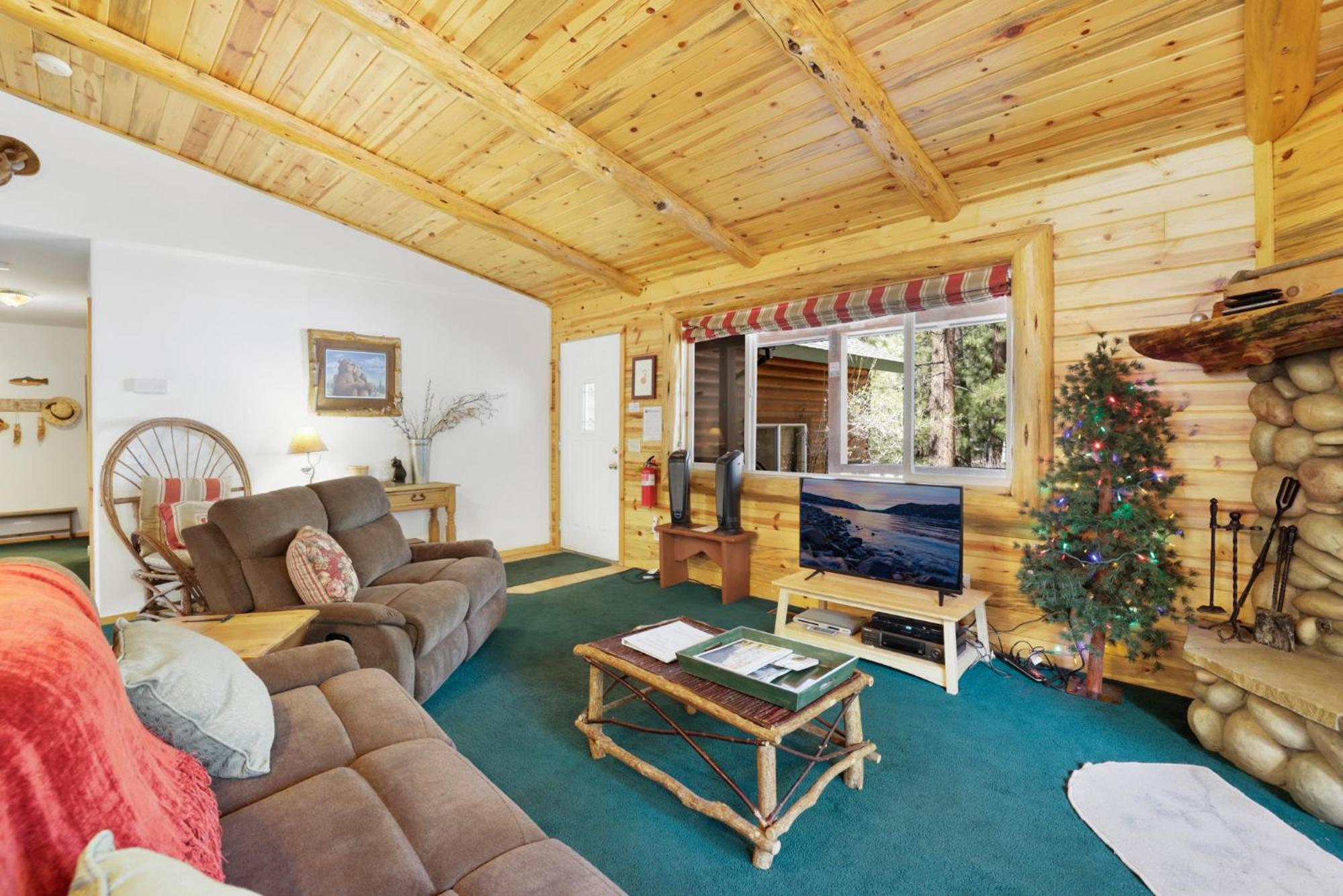 Aspen grove #1041