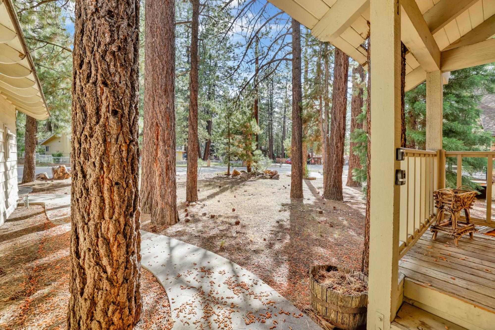 All season alpine retreat #1184