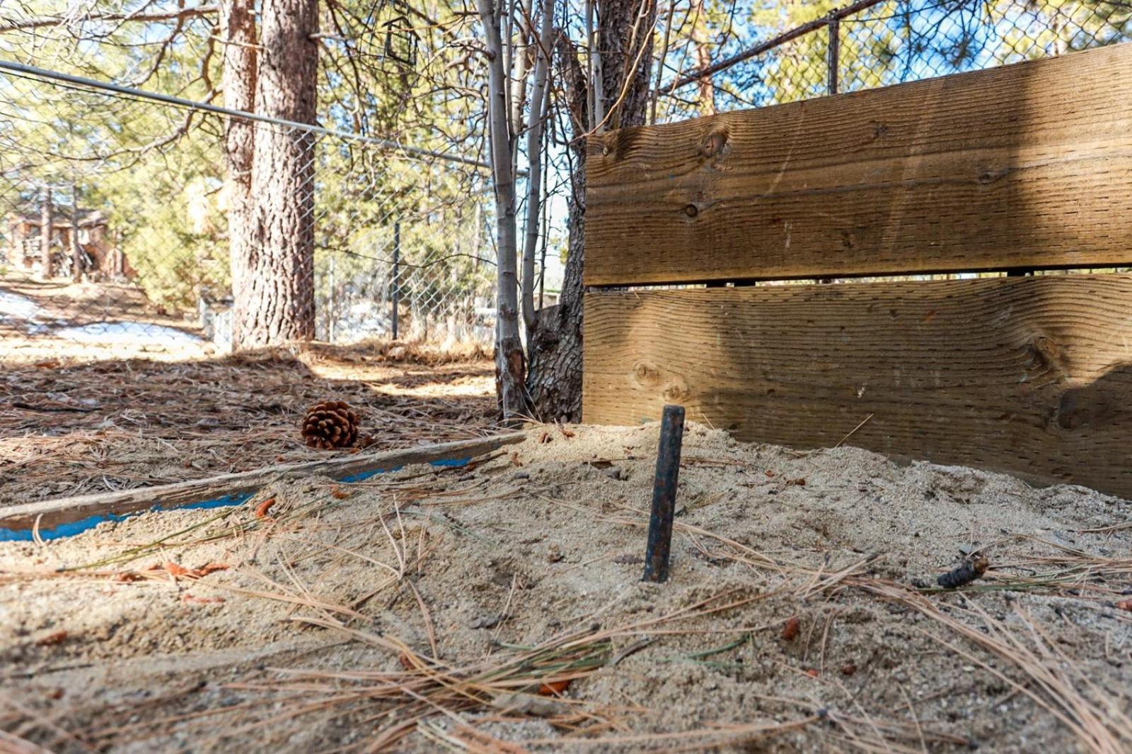 Pines 23 #1438