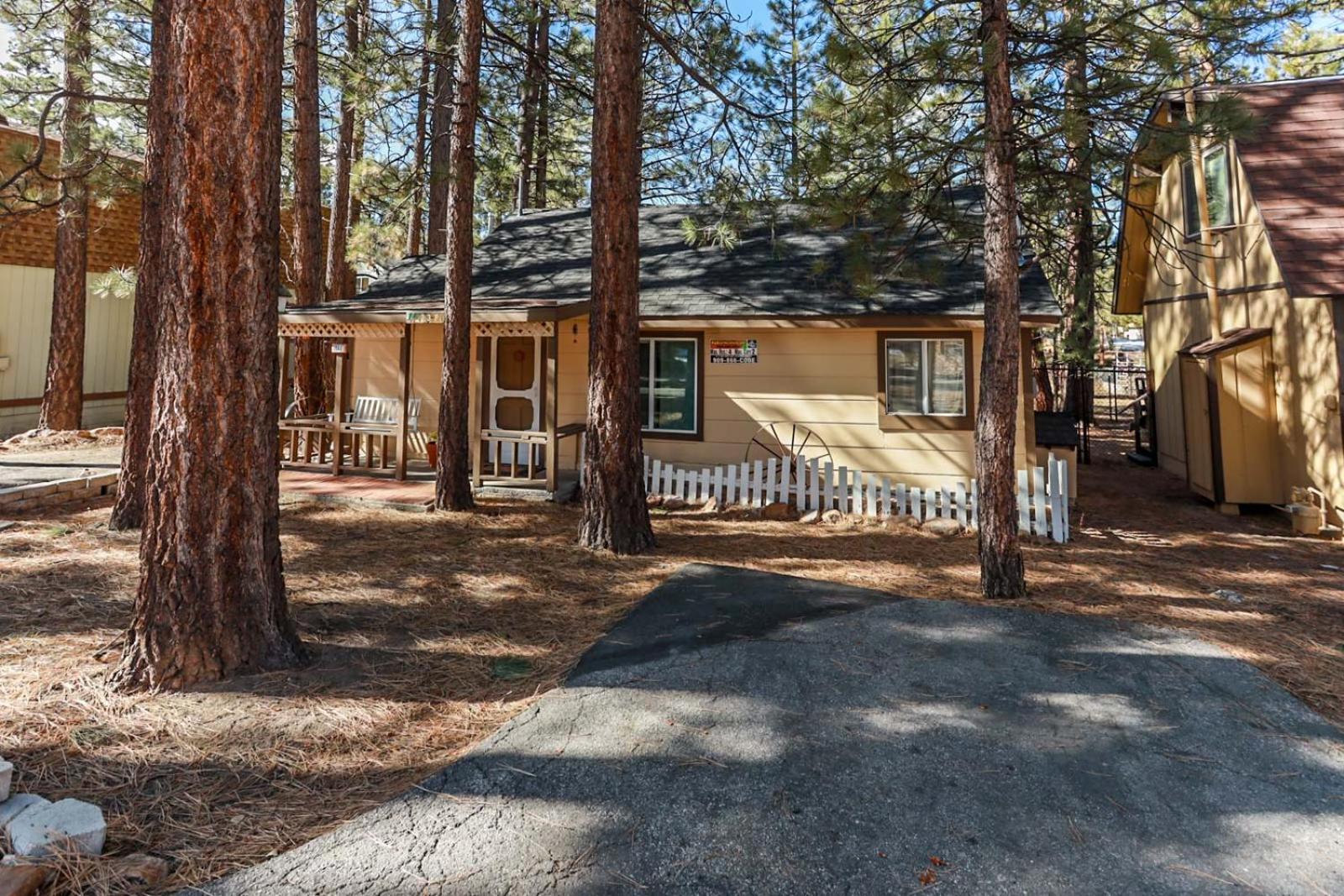 Pines 23 #1438