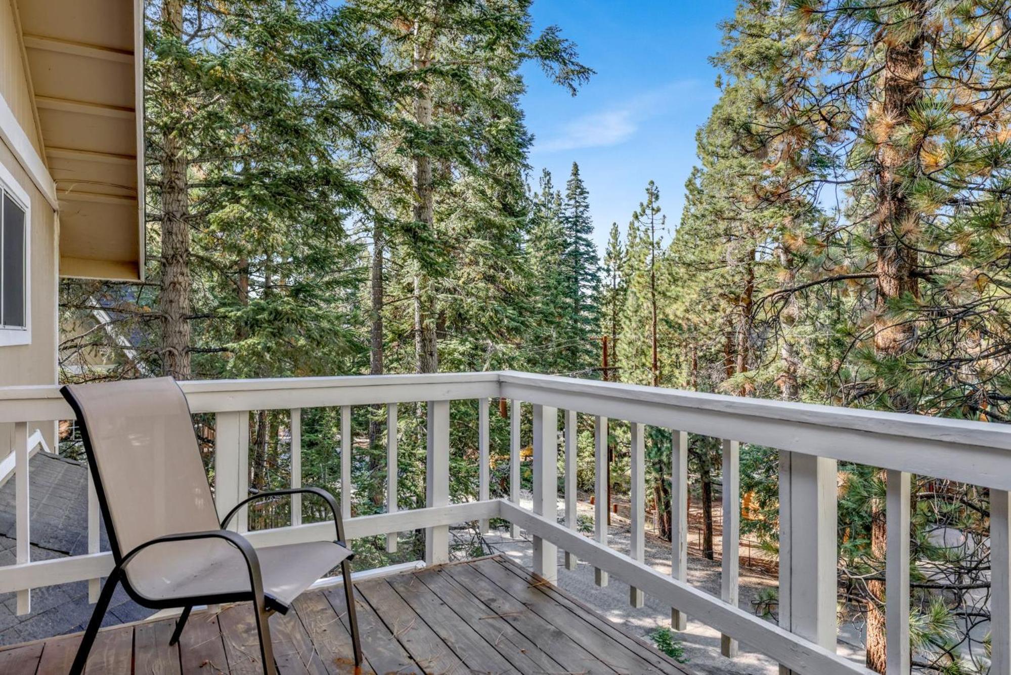 Tree top views #2060