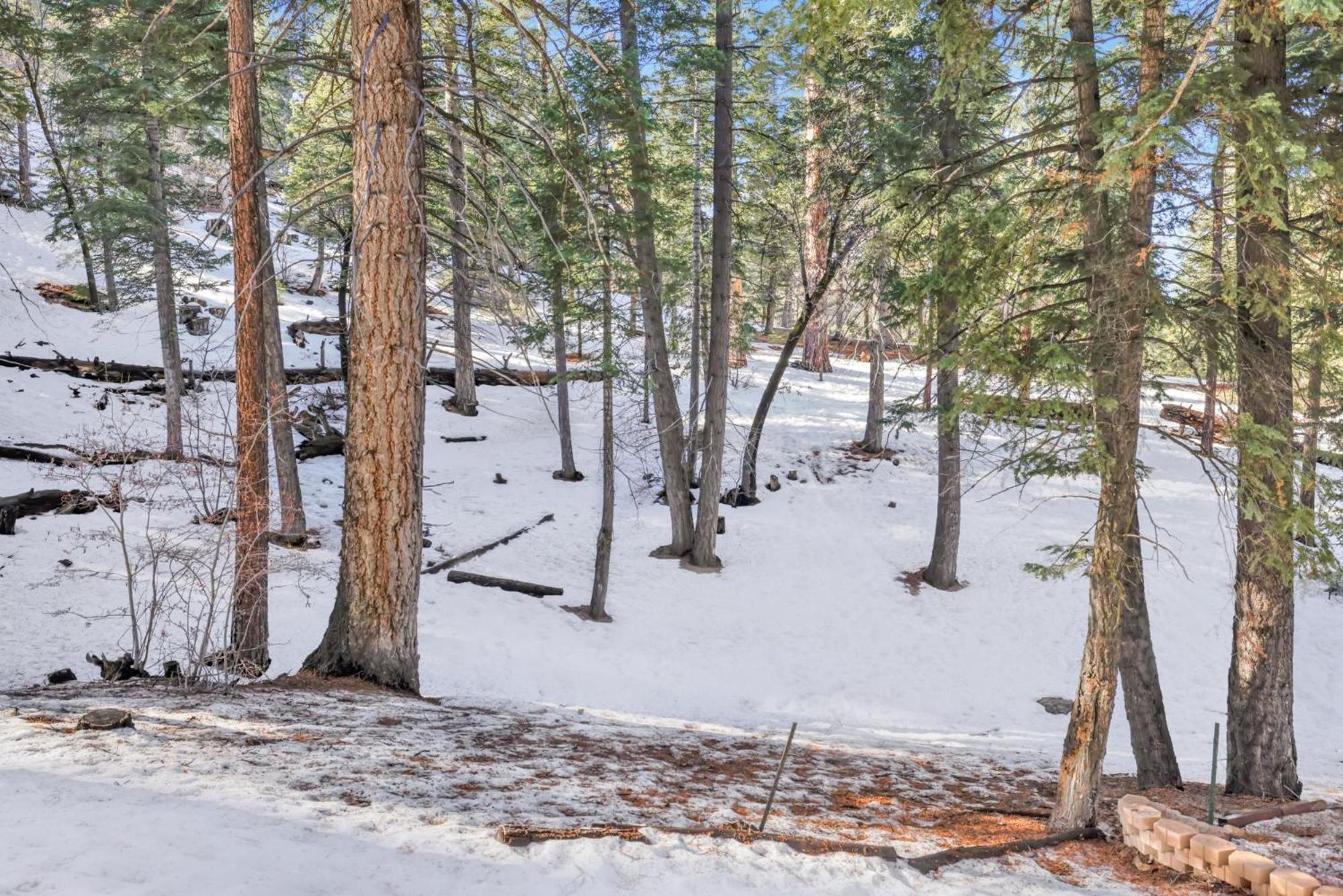 Wolf Cub Cabin#1946
