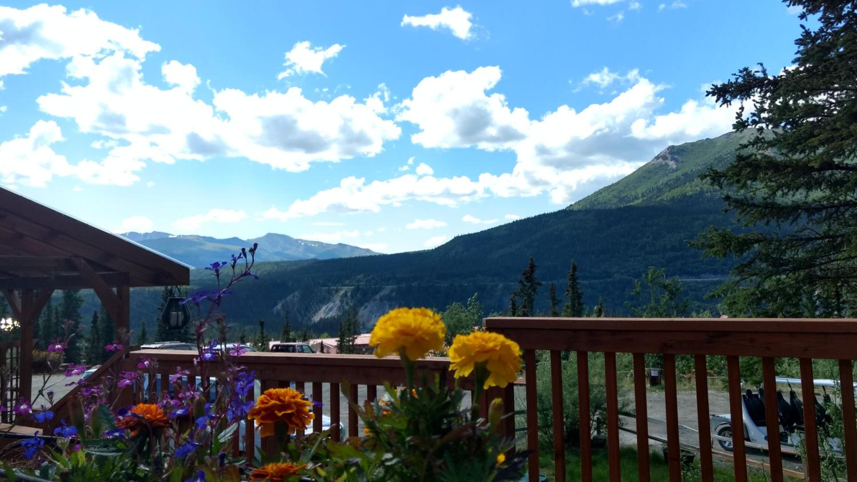 Denali Crow's Nest Cabins