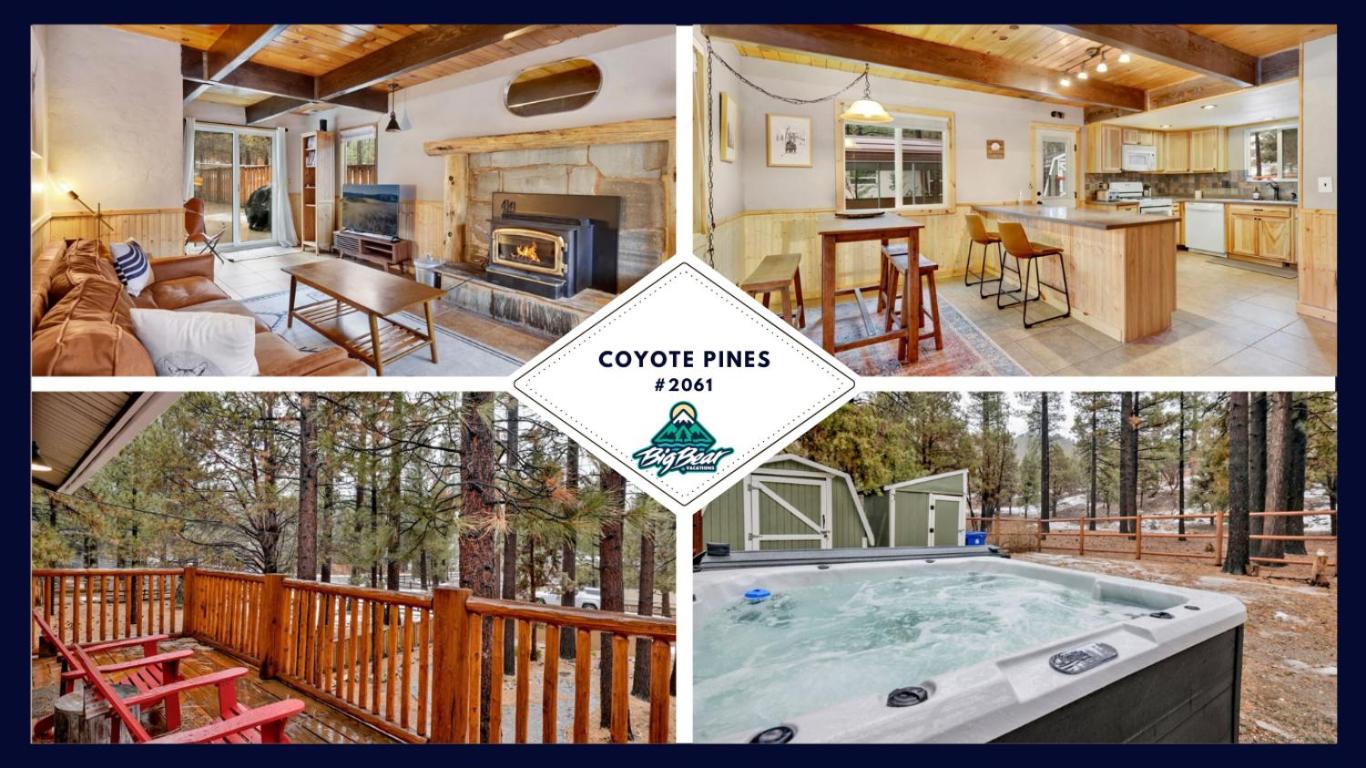 Coyote pines #2061
