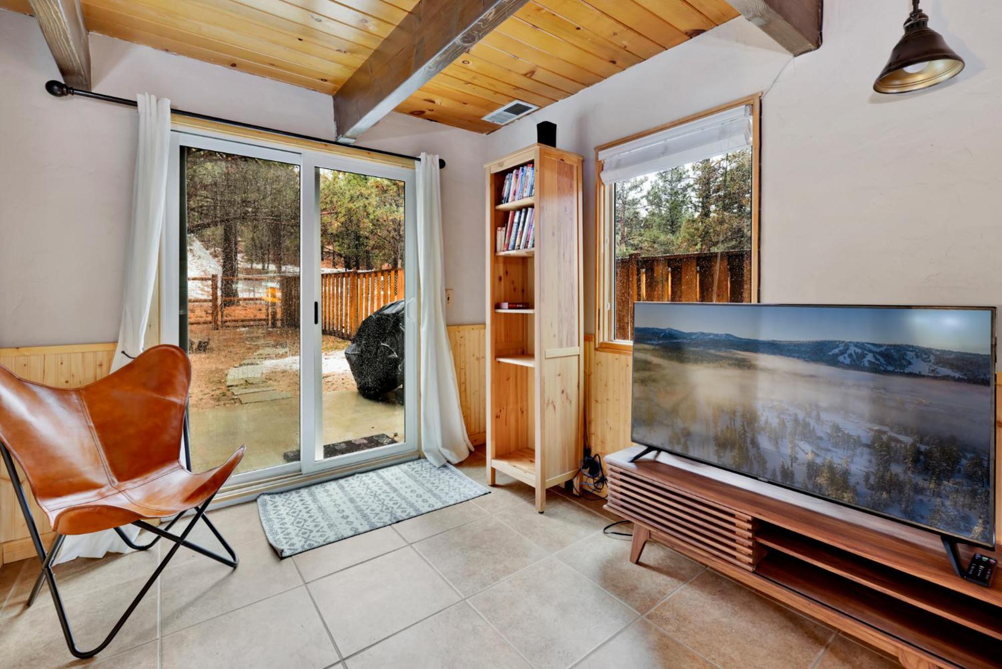 Coyote pines #2061