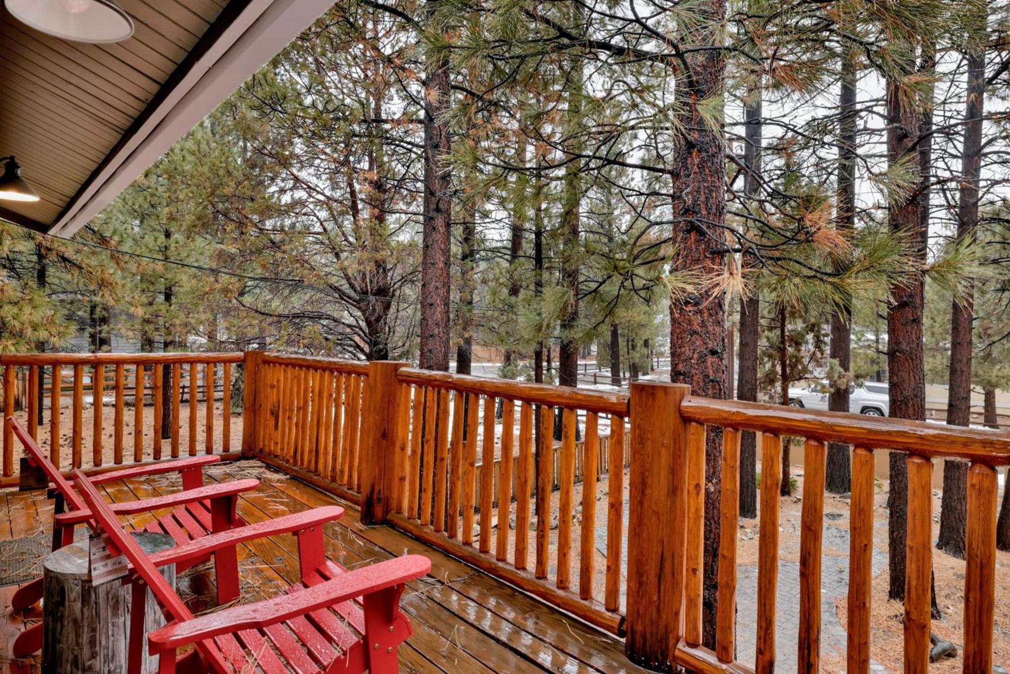 Coyote pines #2061