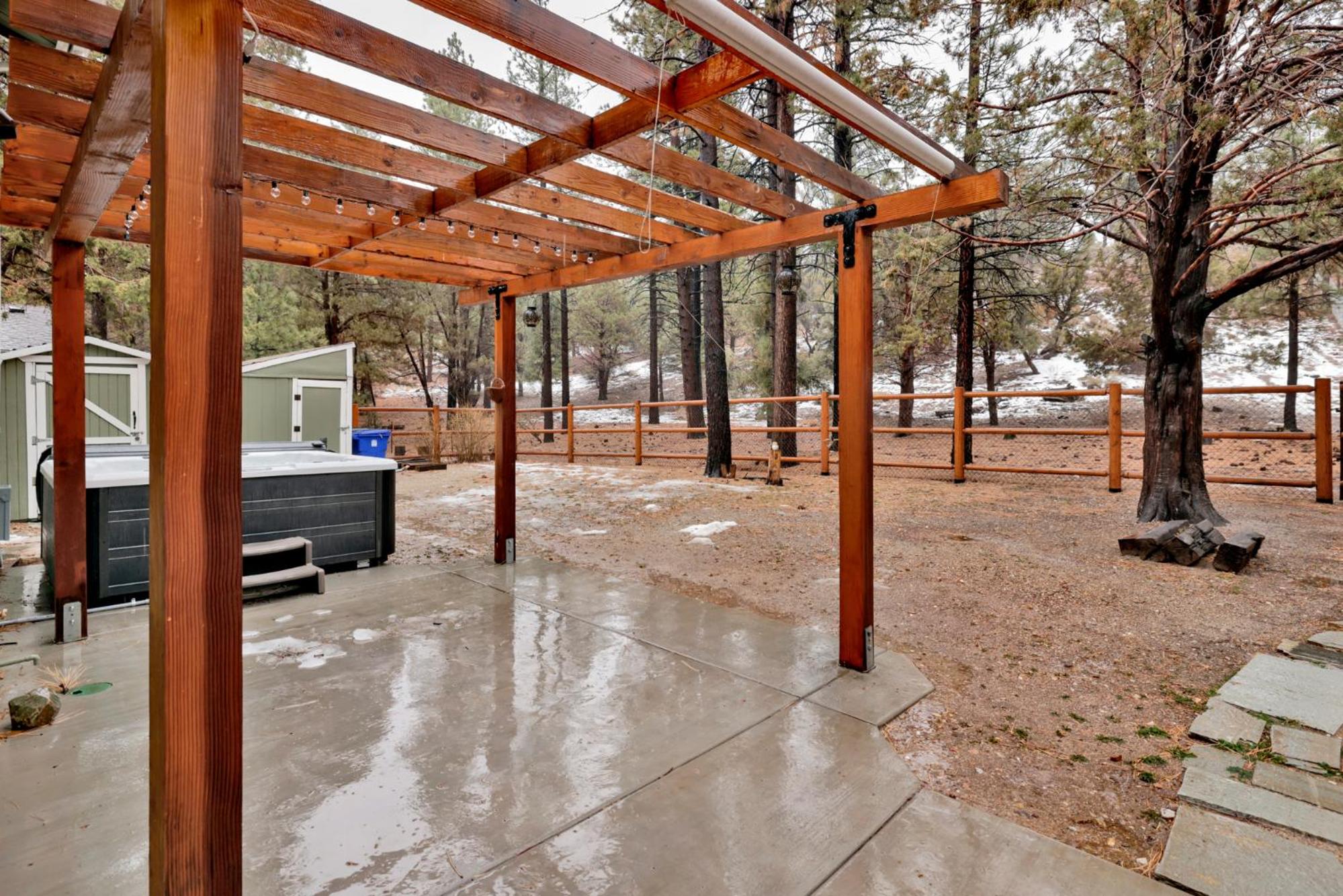 Coyote pines #2061