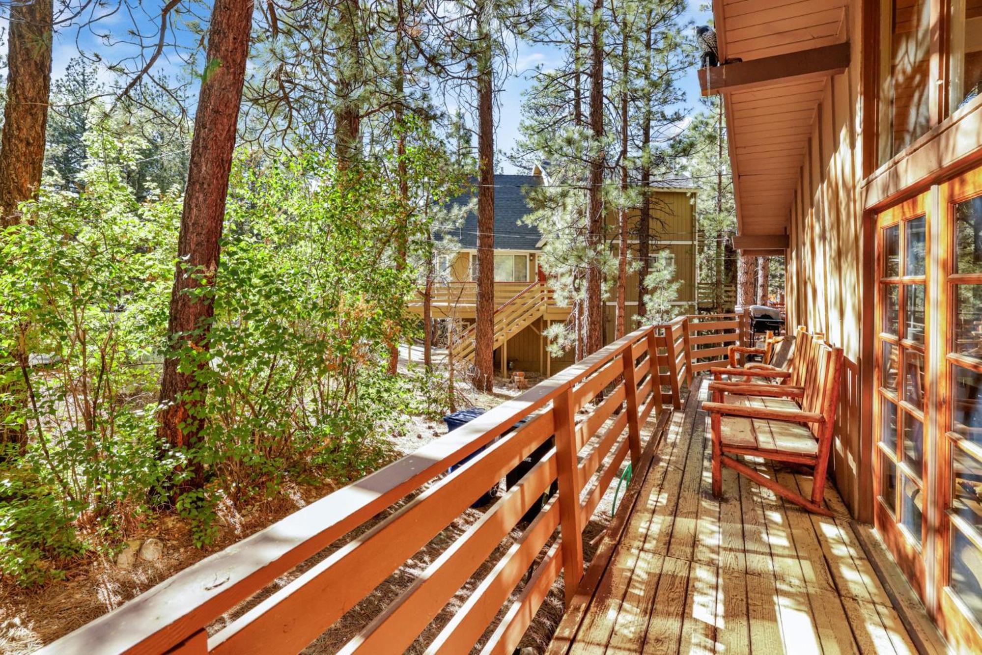 Ashwood pines #2331