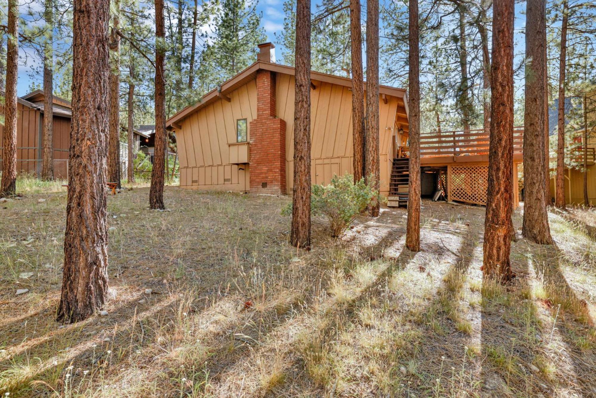 Ashwood pines #2331