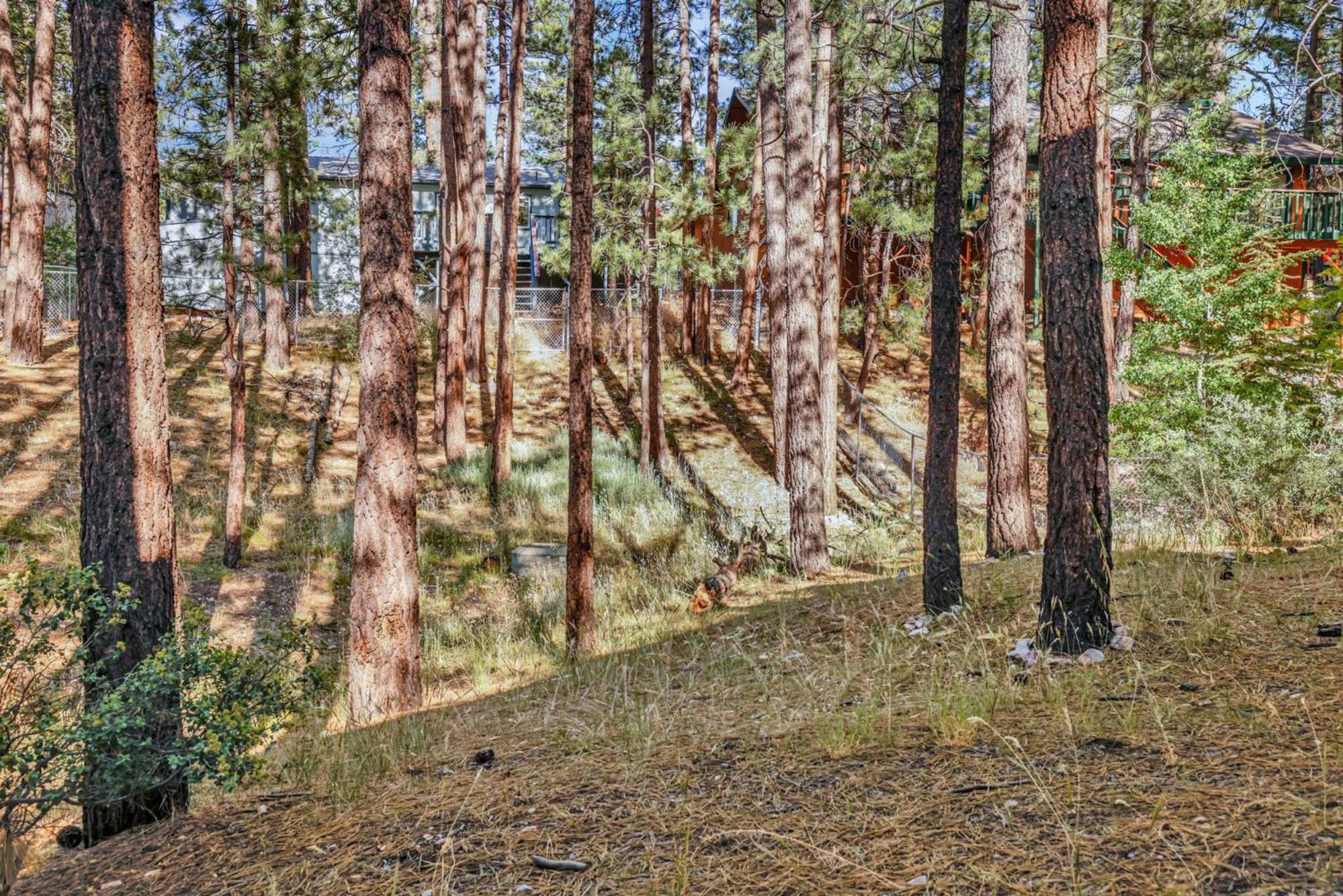 Ashwood pines #2331