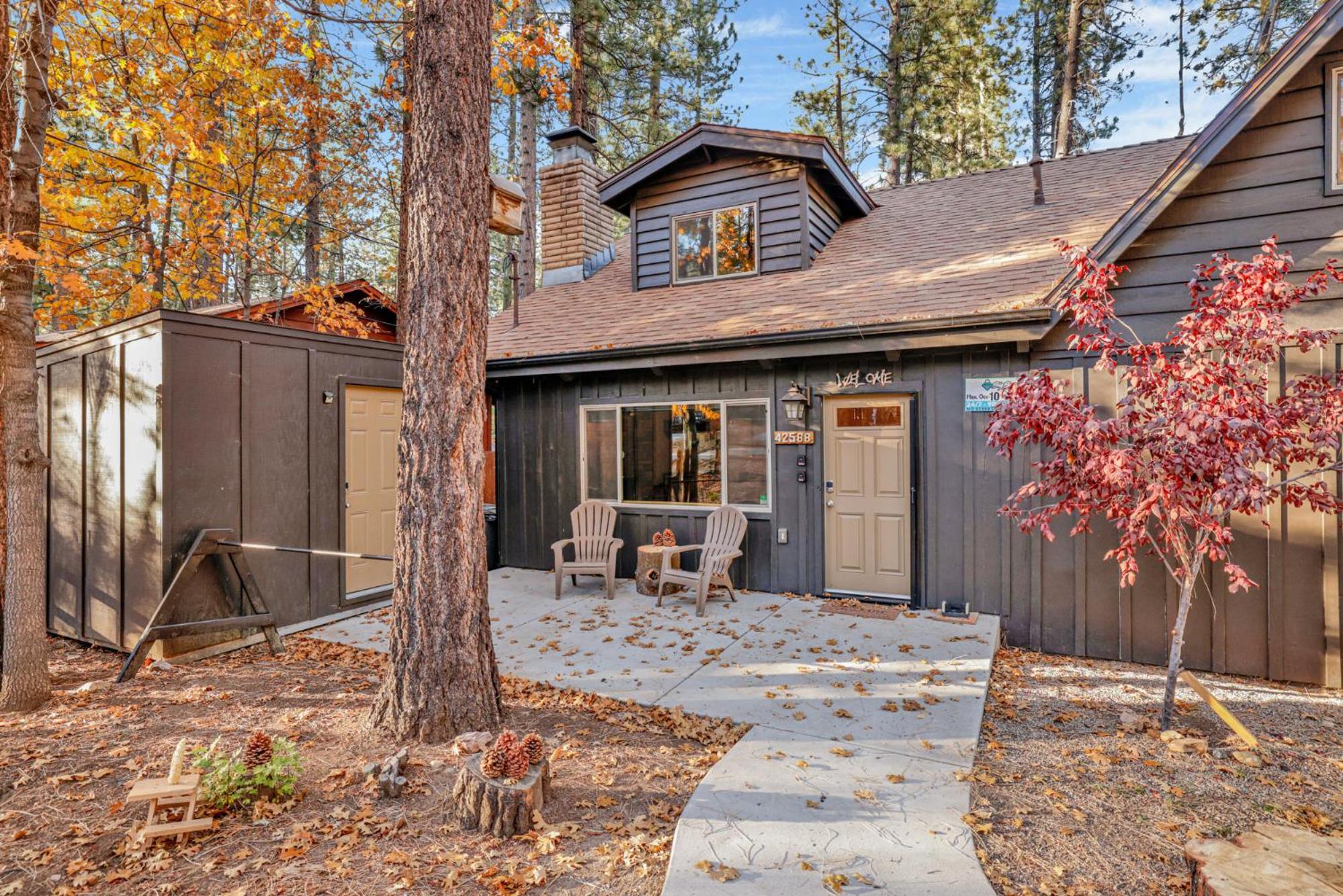 The teddy bear chalet #2257