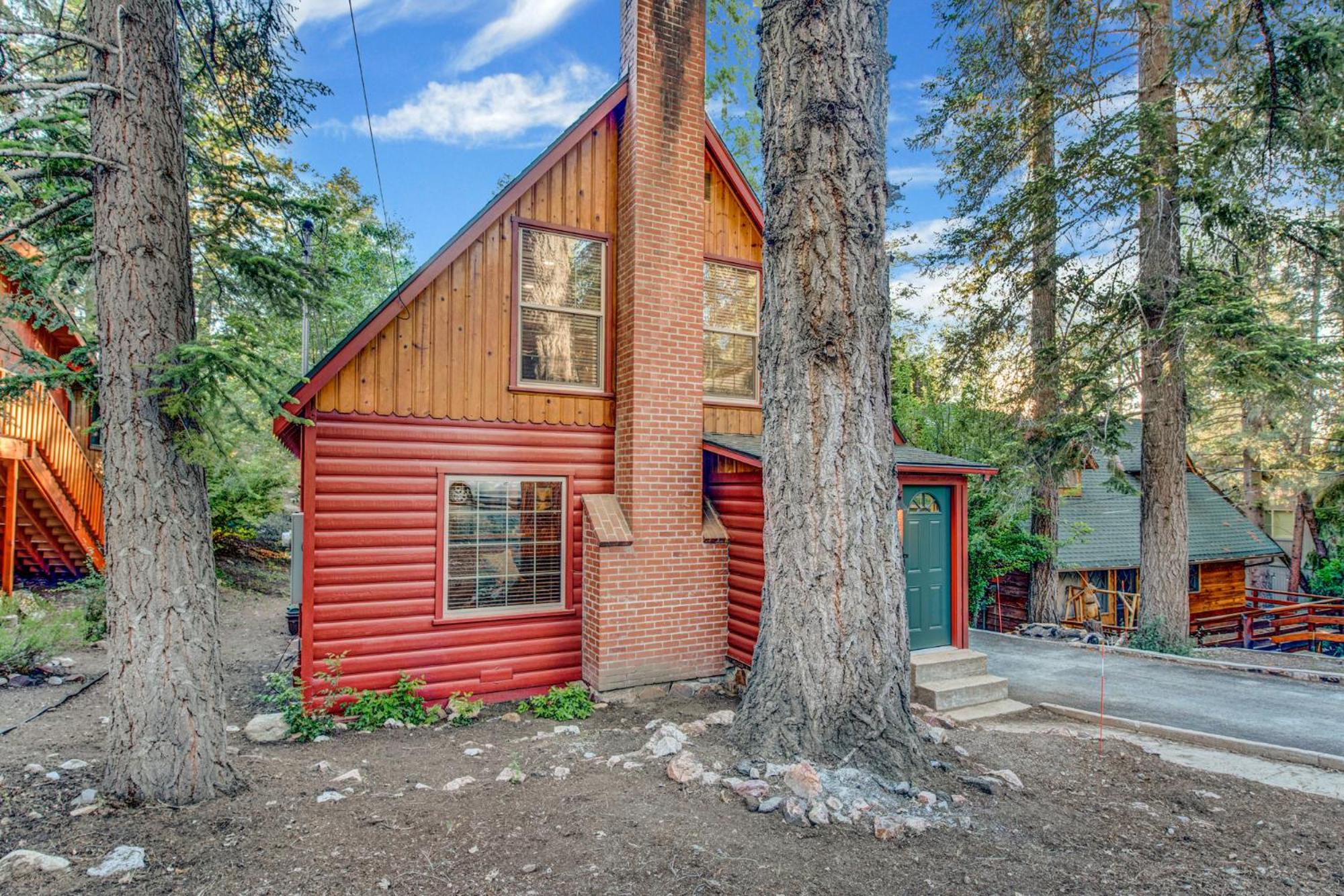 Silvertip pines #2335