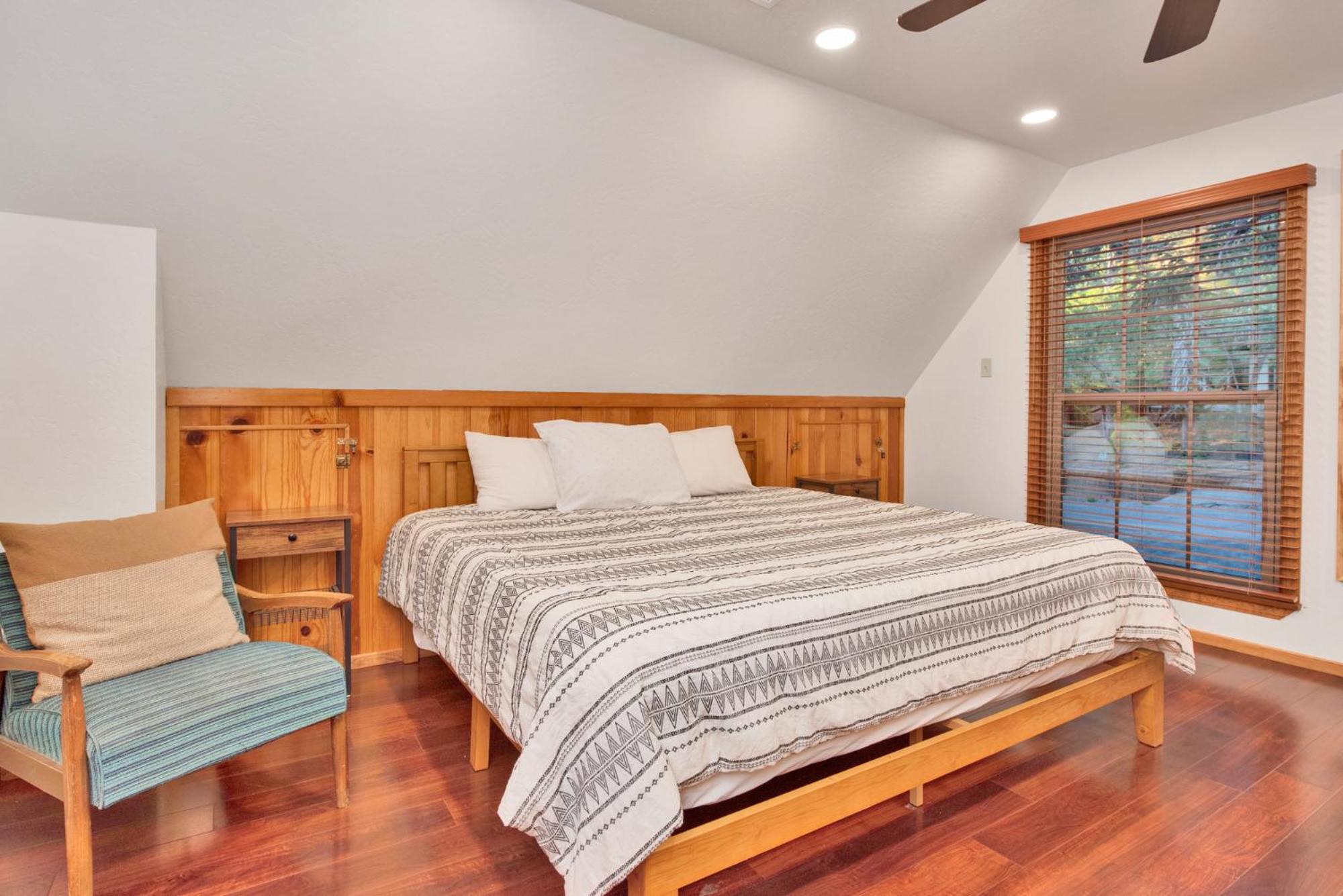 Silvertip pines #2335