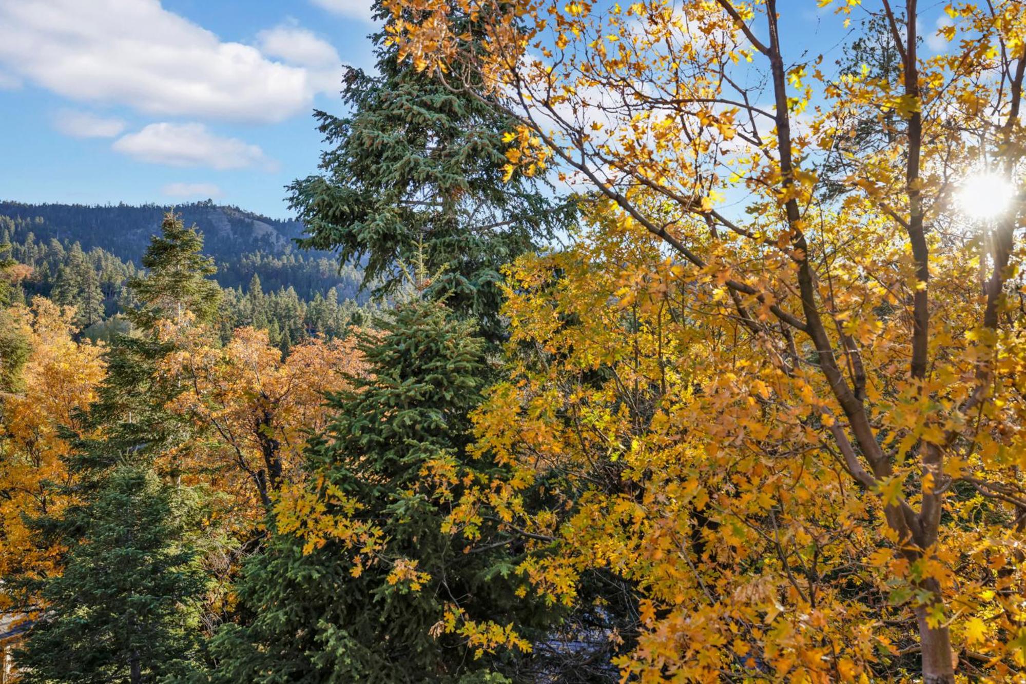 Slope view chalet #2076