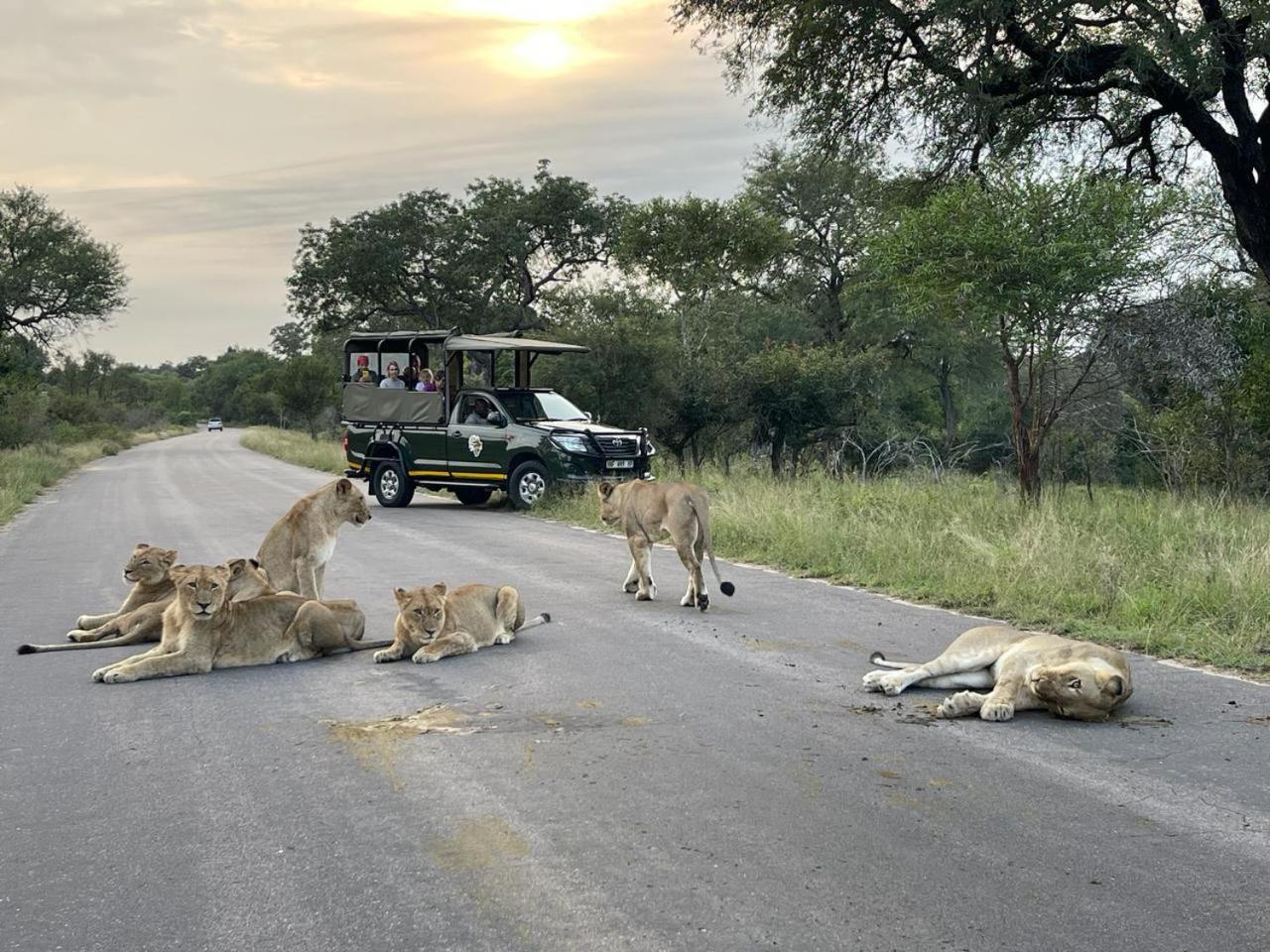 Hazyview Vacations - Umbhaba Eco Lodge - Property Image 25