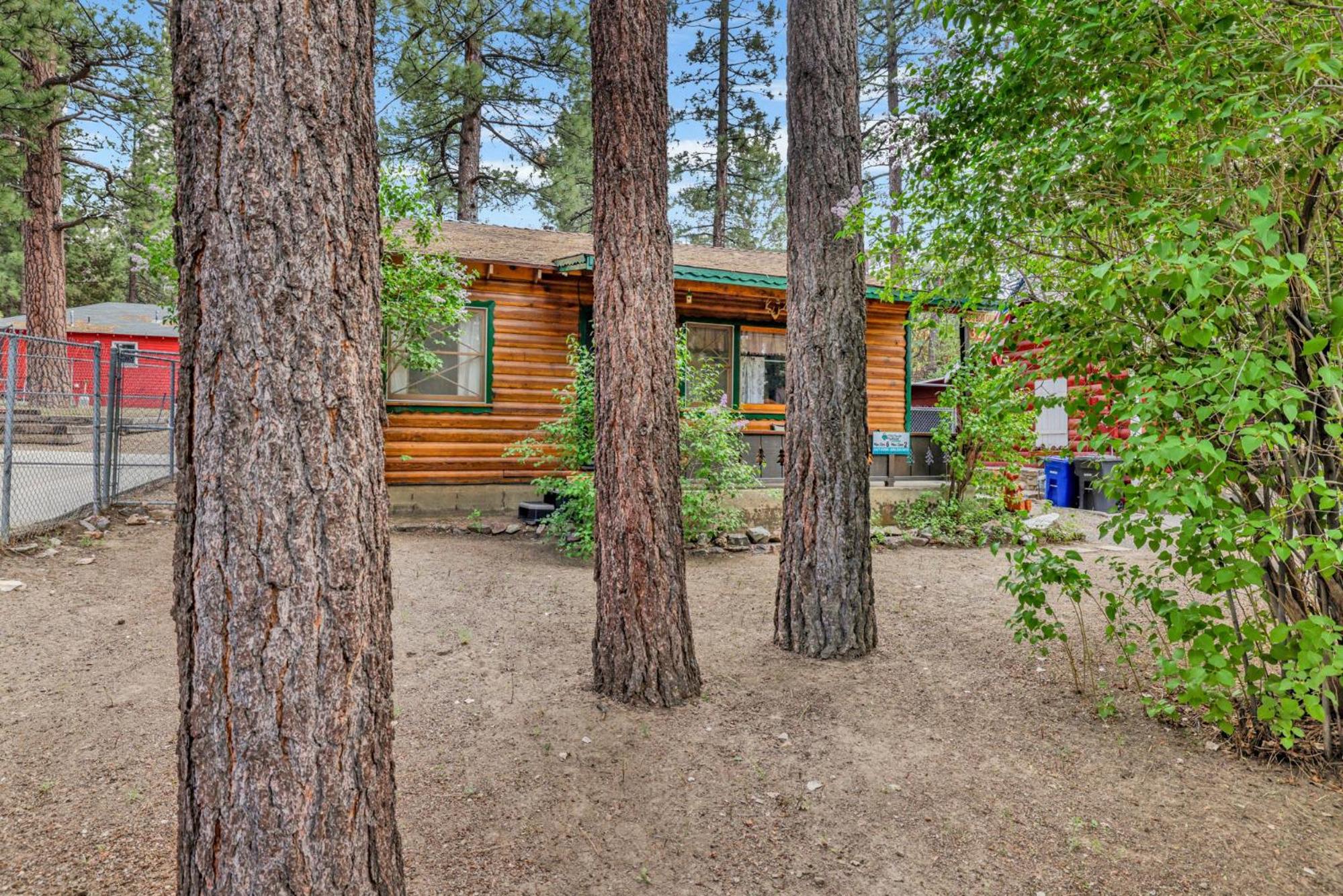 Cozy bear cabin #2295