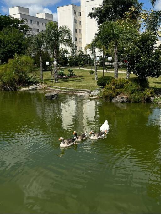 Apartamento 2 Quartos, Condomínio Spazio Cosenza com ótima localização