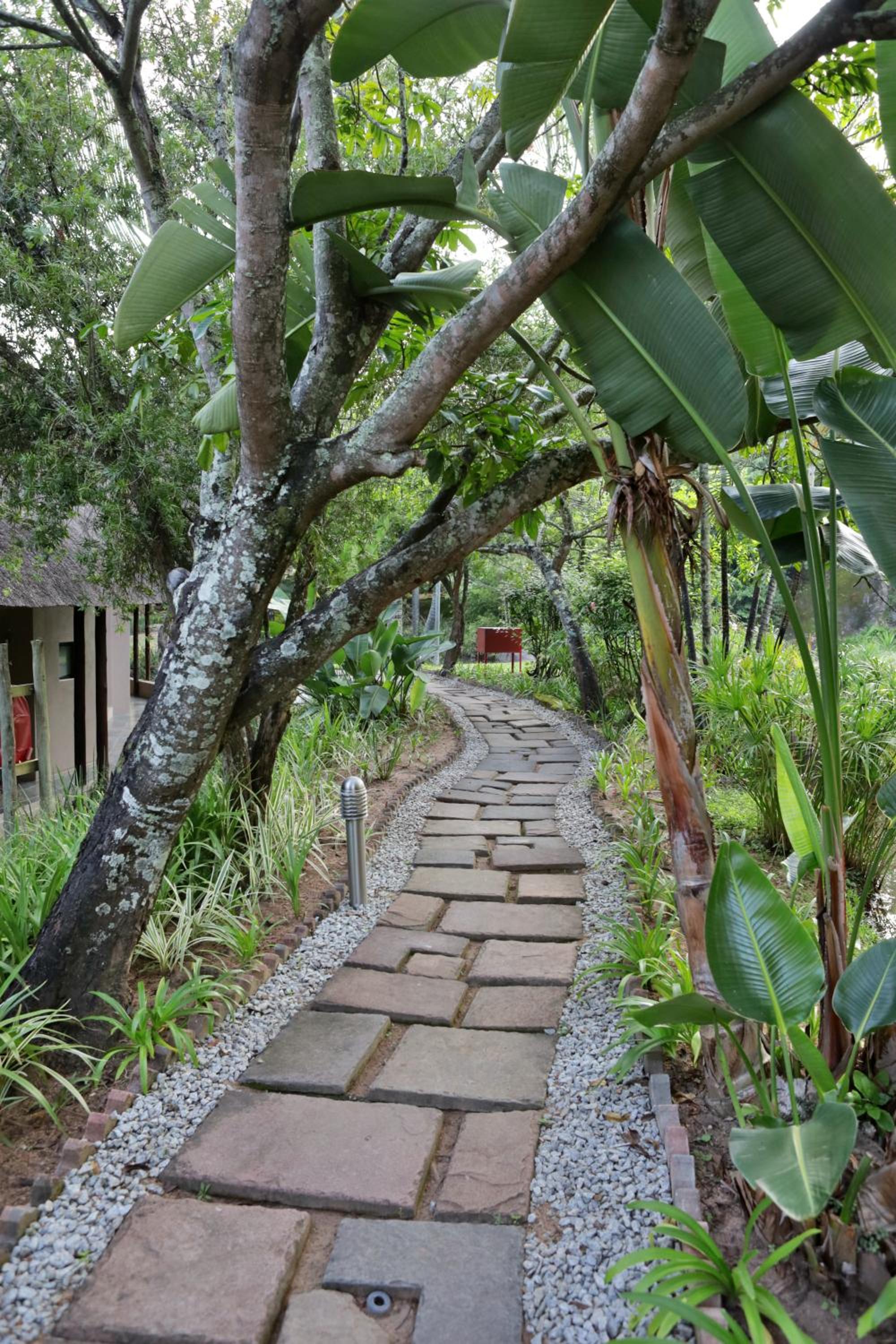 Hazyview Vacations - Umbhaba Eco Lodge - Property Image 18