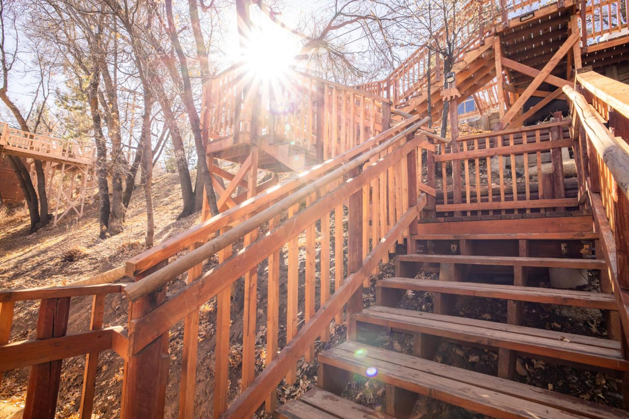 Black oak cabin #1977