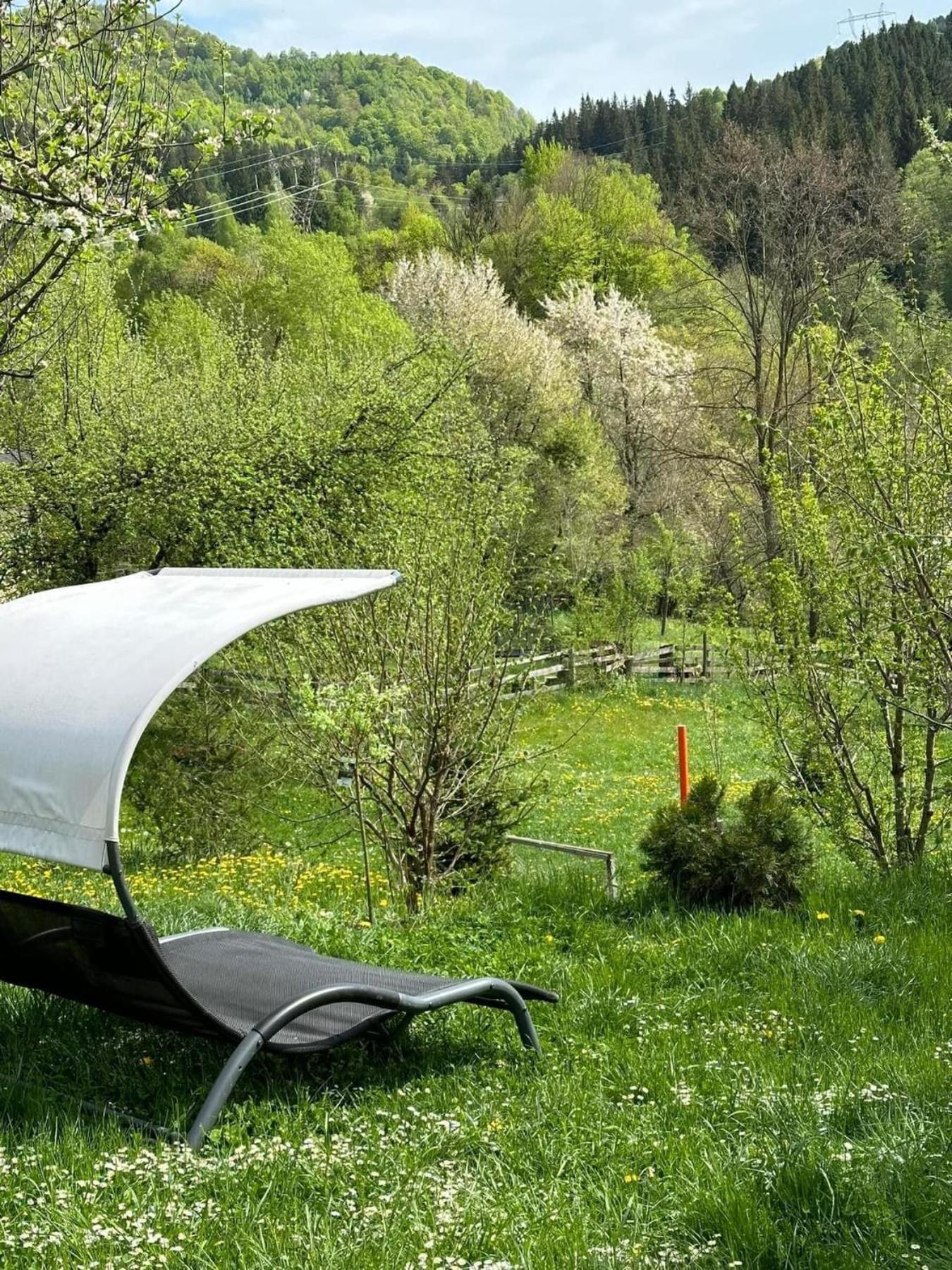 Green Yard Doftana