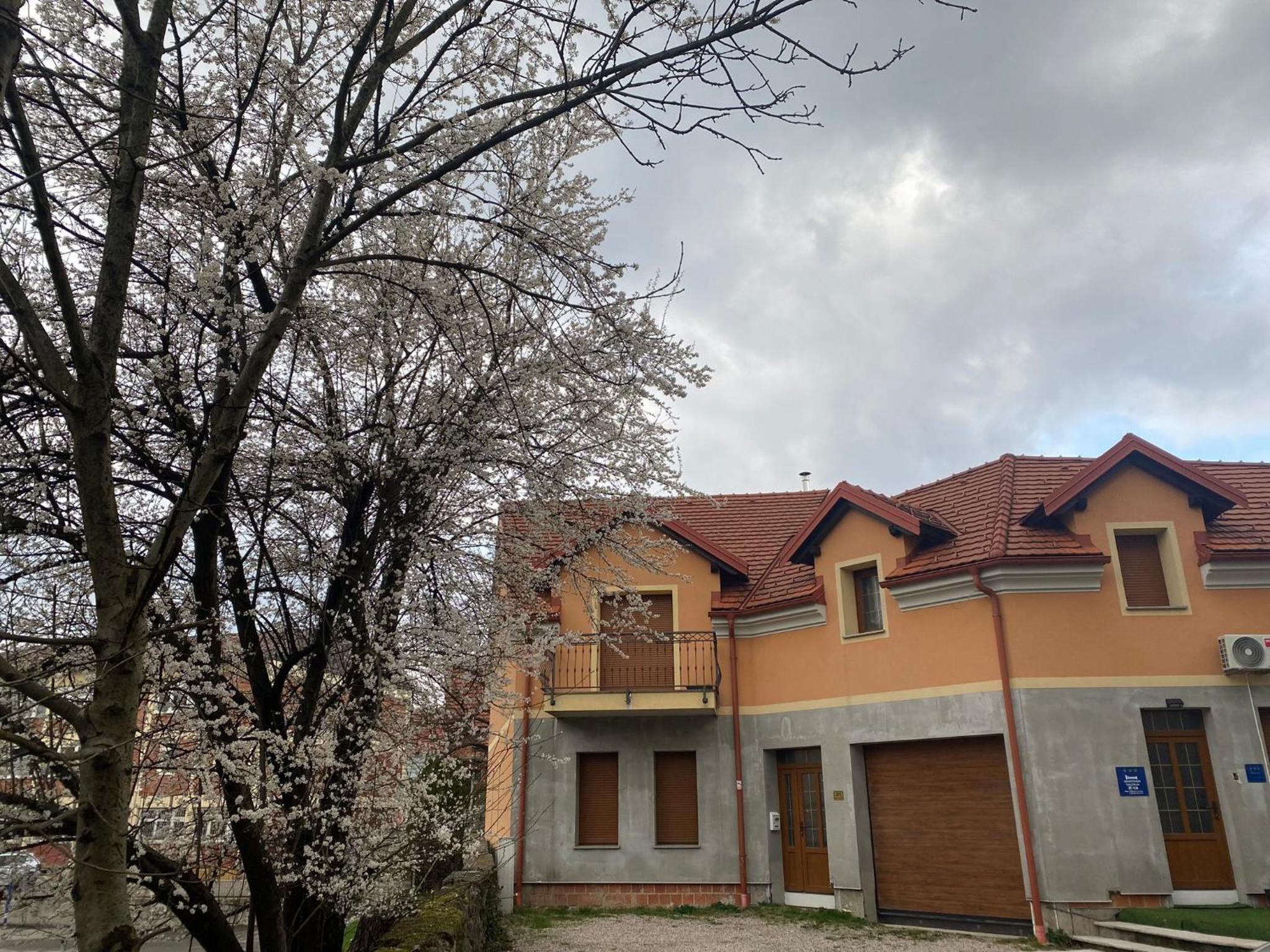 APARTMAN GALERIJA