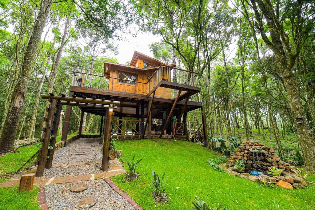 Casa na Árvore em Gramado