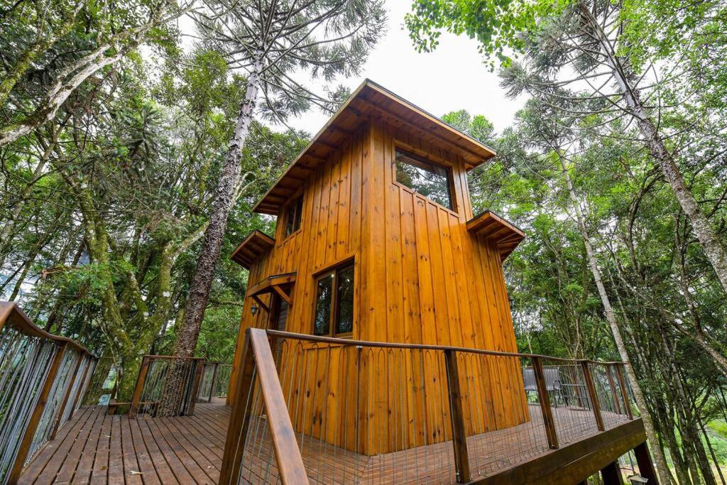 Casa na Árvore em Gramado