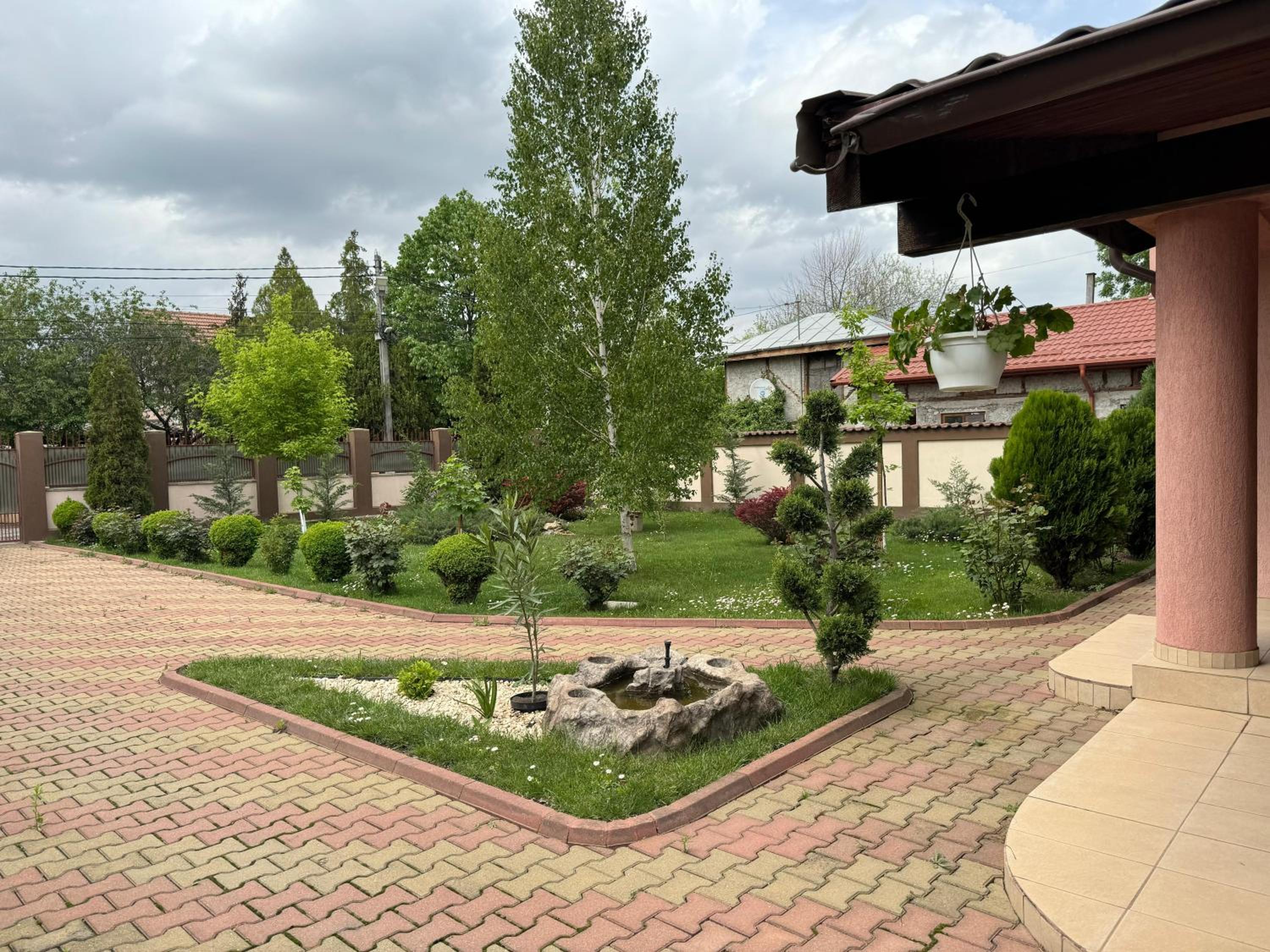 Forest Spătaru view 2