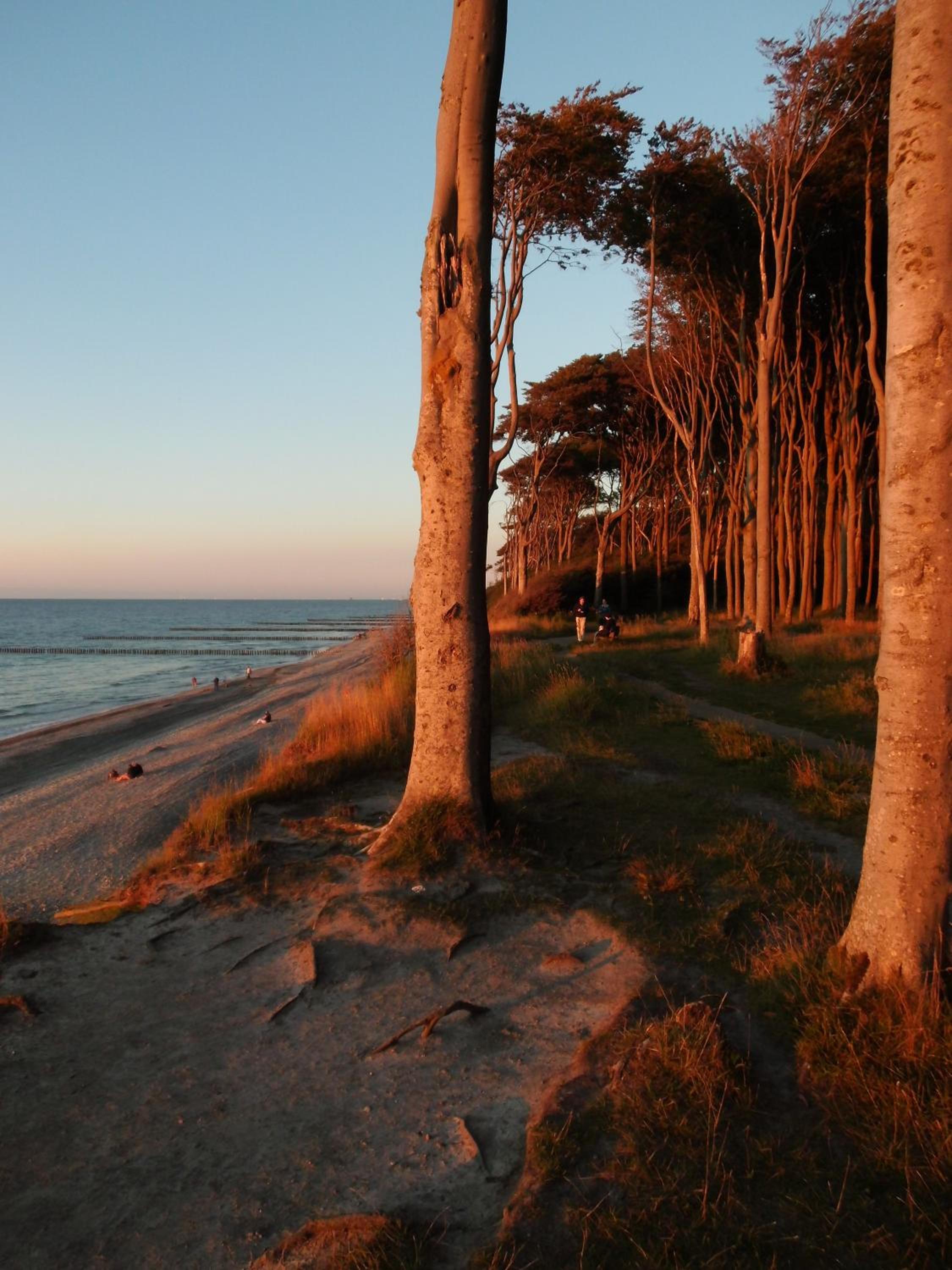 Ostsee Hotel-Pension An der Lindenallee