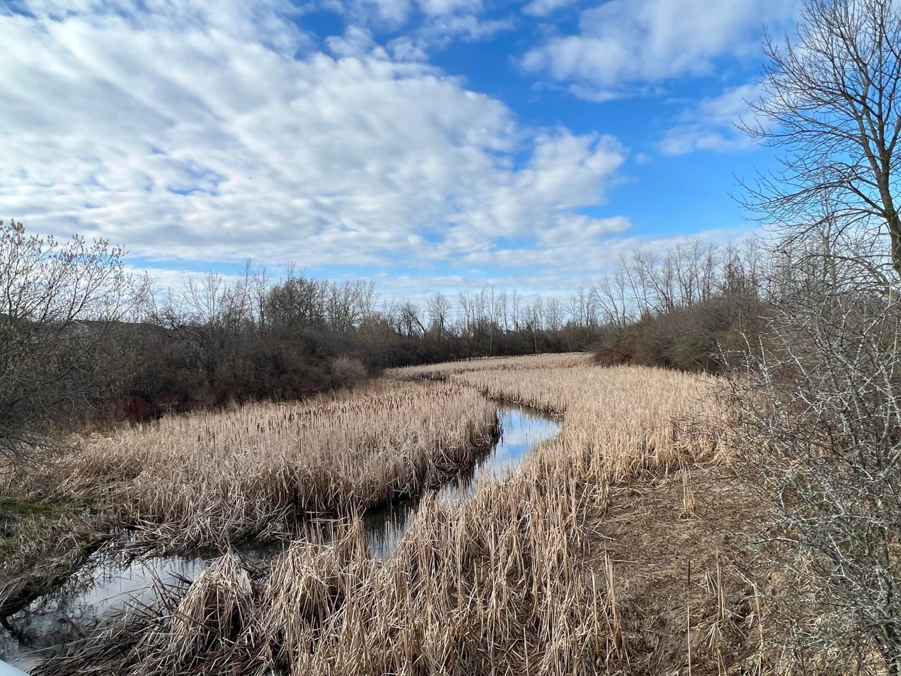 Arbour Ridge Vacation Home - Trail View! 5 bedrooms, 8 beds