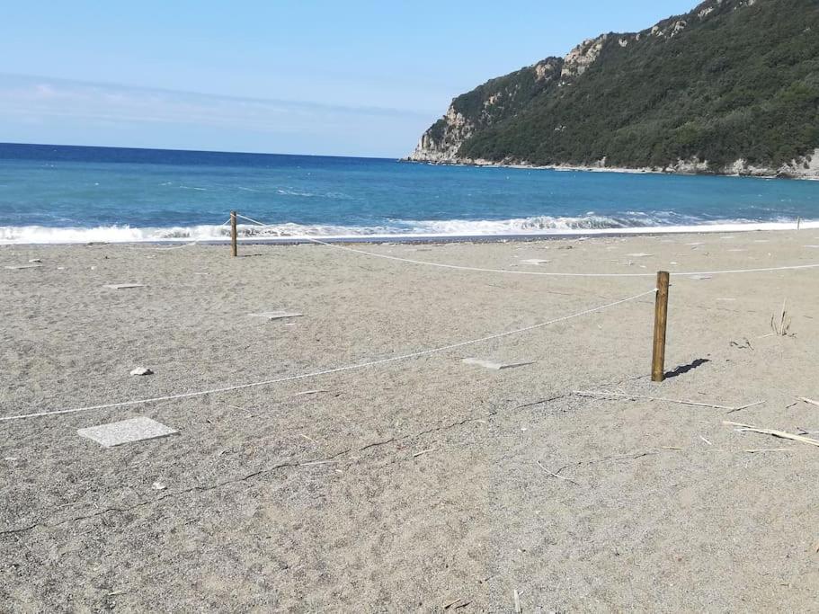 other