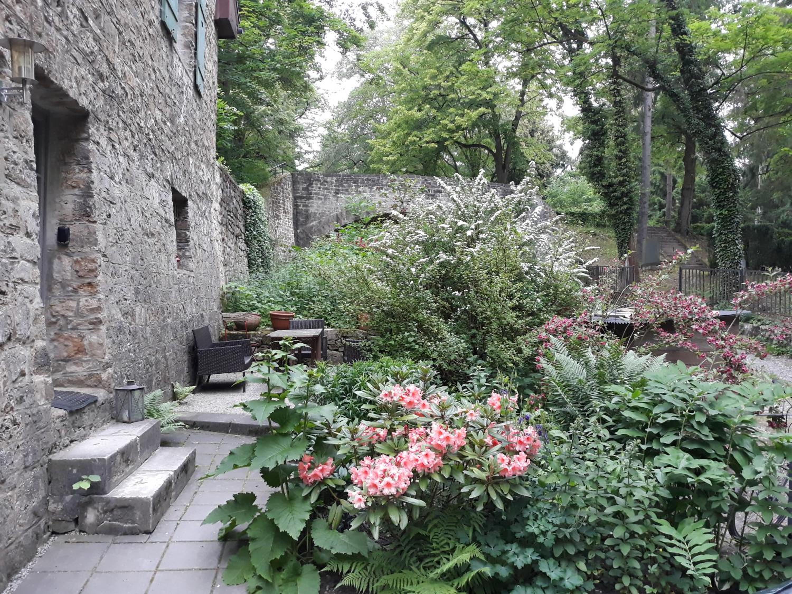 Photo 25