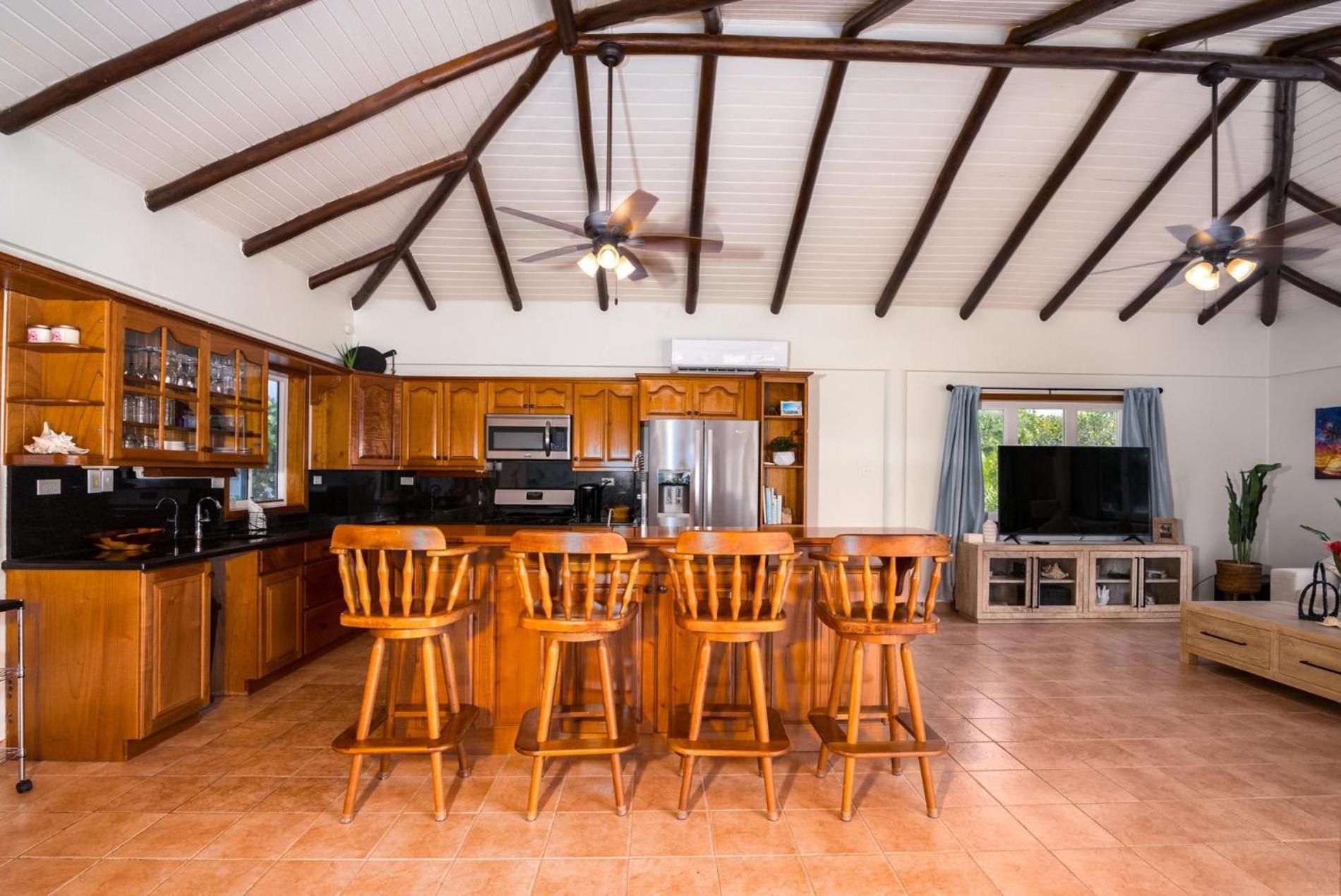 Dolphin Beach - Private Oceanfront 4-Bed Villa wPool on Huge Lot