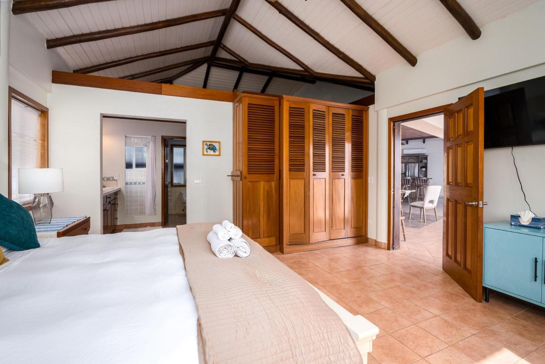 Dolphin Beach - Private Oceanfront 4-Bed Villa wPool on Huge Lot