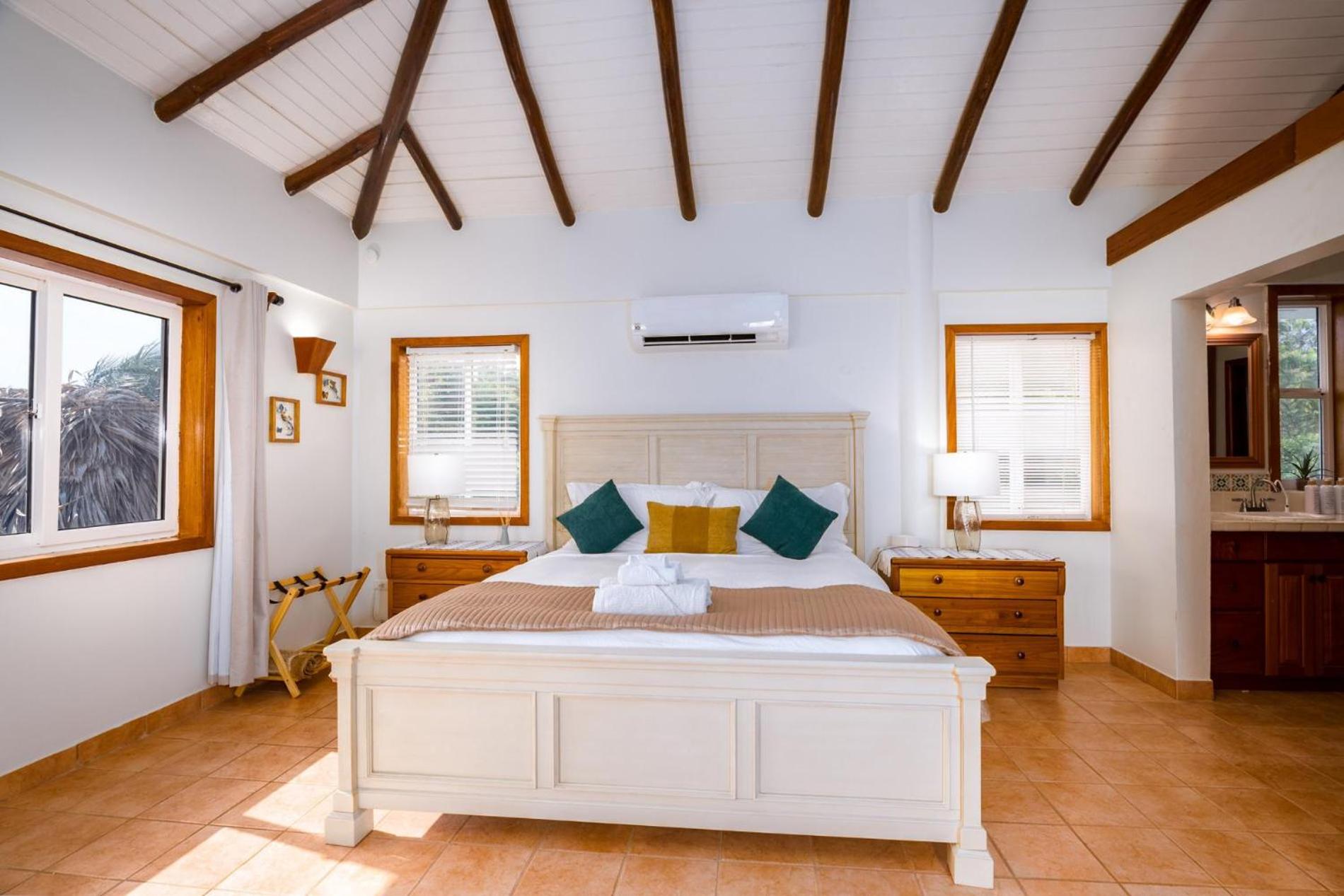 Dolphin Beach - Private Oceanfront 4-Bed Villa wPool on Huge Lot