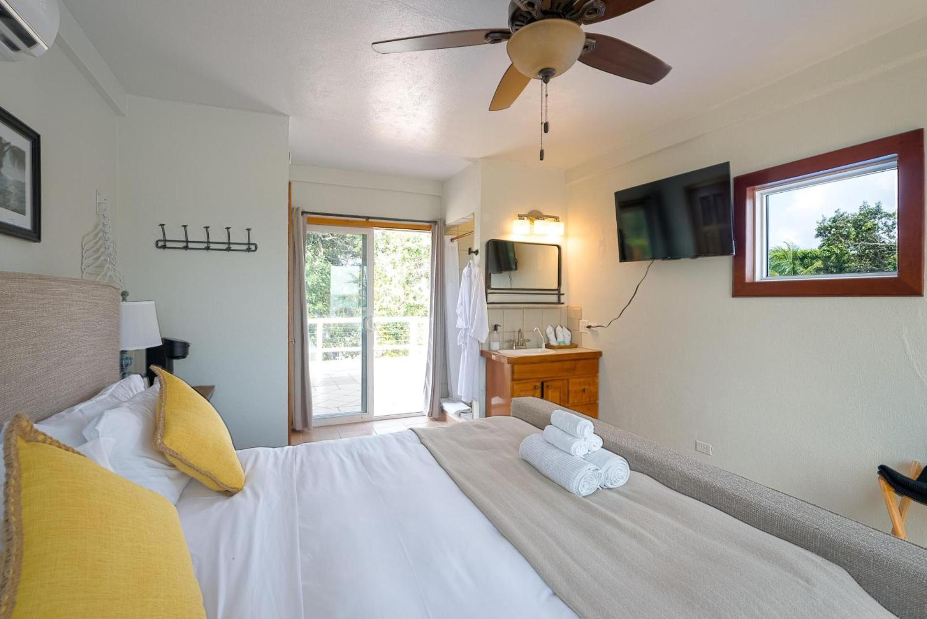 Dolphin Beach - Private Oceanfront 4-Bed Villa wPool on Huge Lot