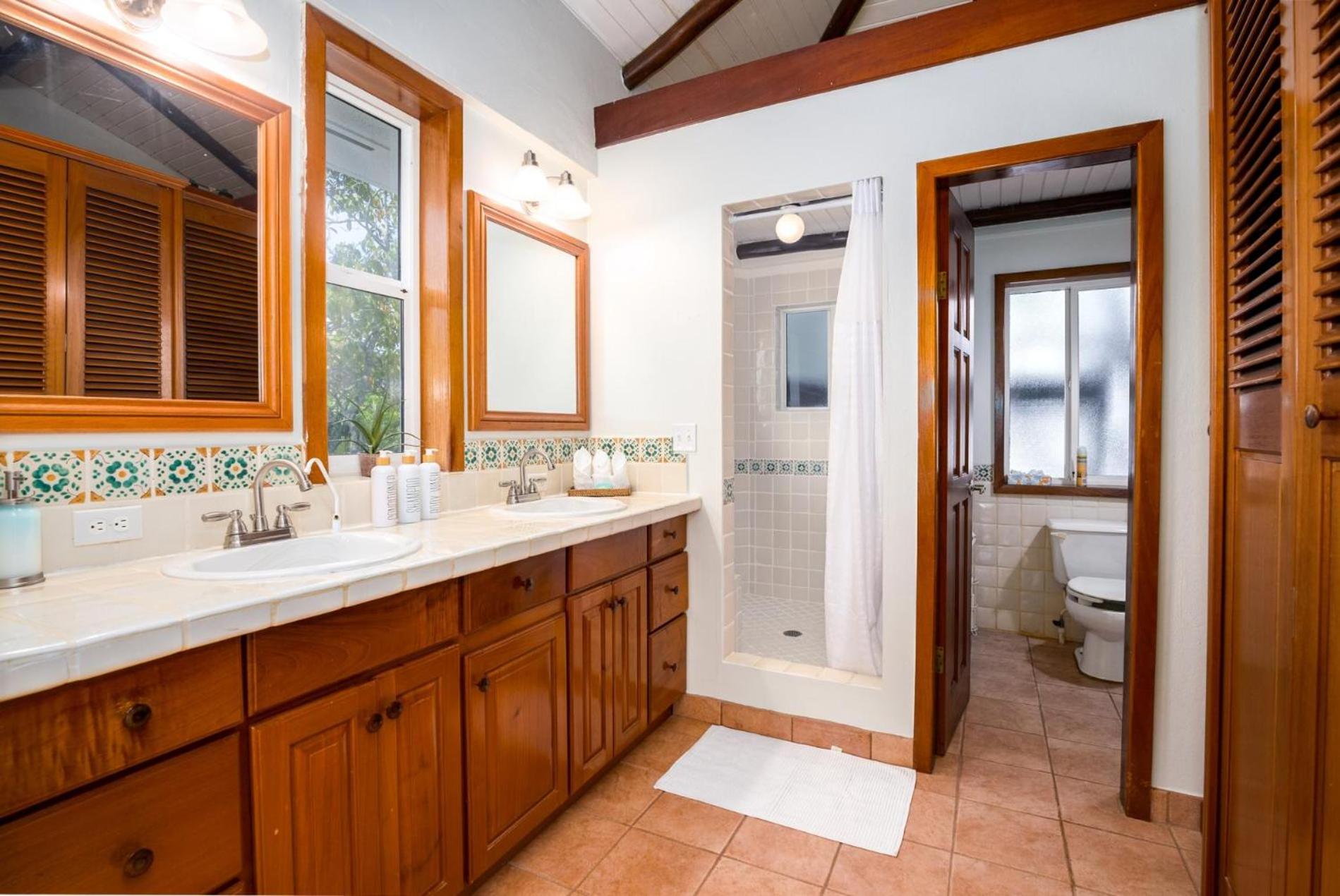 Dolphin Beach - Private Oceanfront 4-Bed Villa wPool on Huge Lot