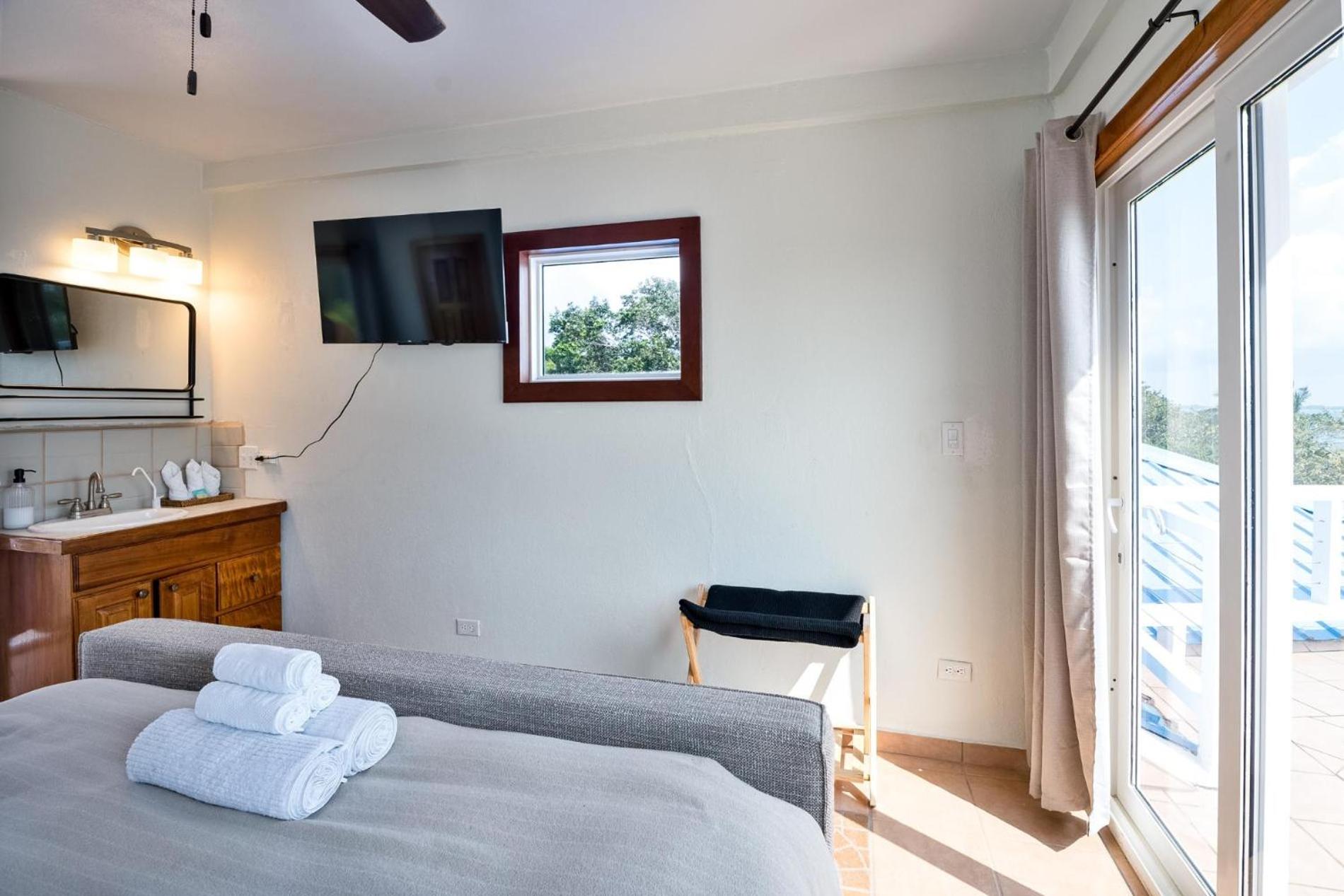 Dolphin Beach - Private Oceanfront 4-Bed Villa wPool on Huge Lot