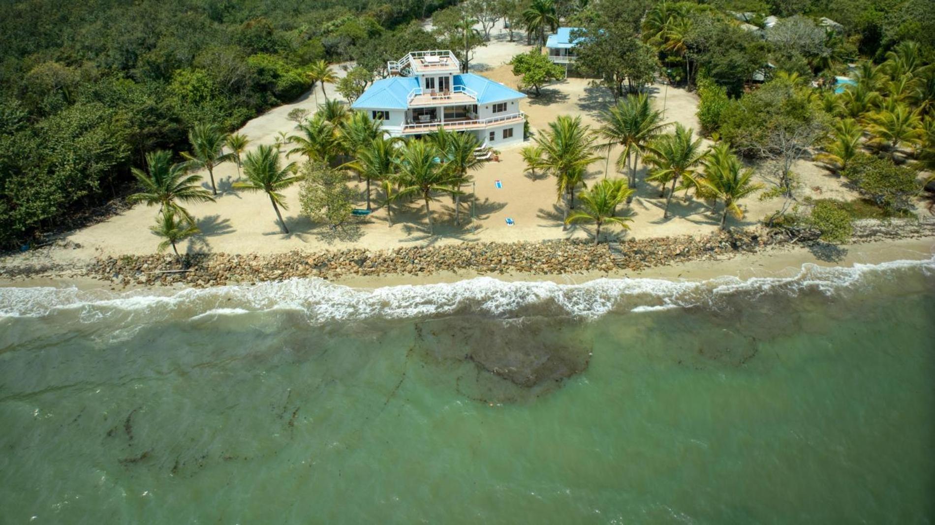 Dolphin Beach - Private Oceanfront 4-Bed Villa wPool on Huge Lot