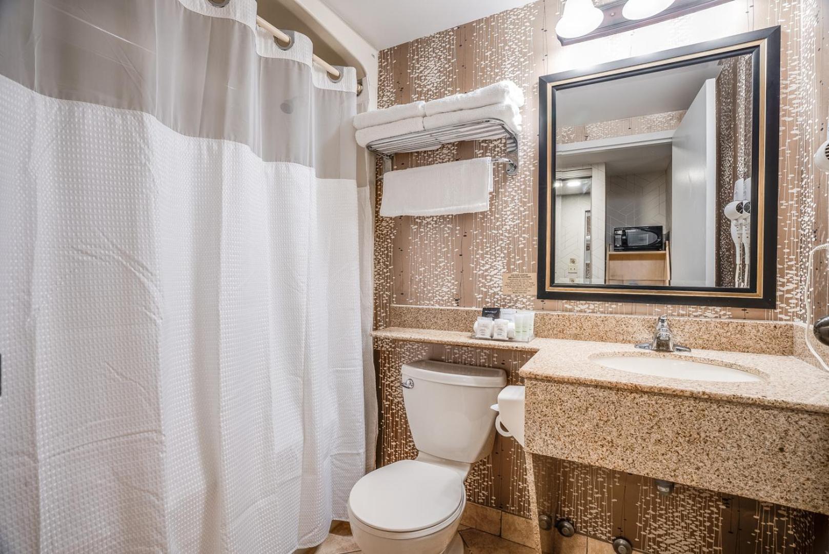 Barrie Vacations - Monte Carlo Inn Barrie - Newly Renovated - Property Image 12