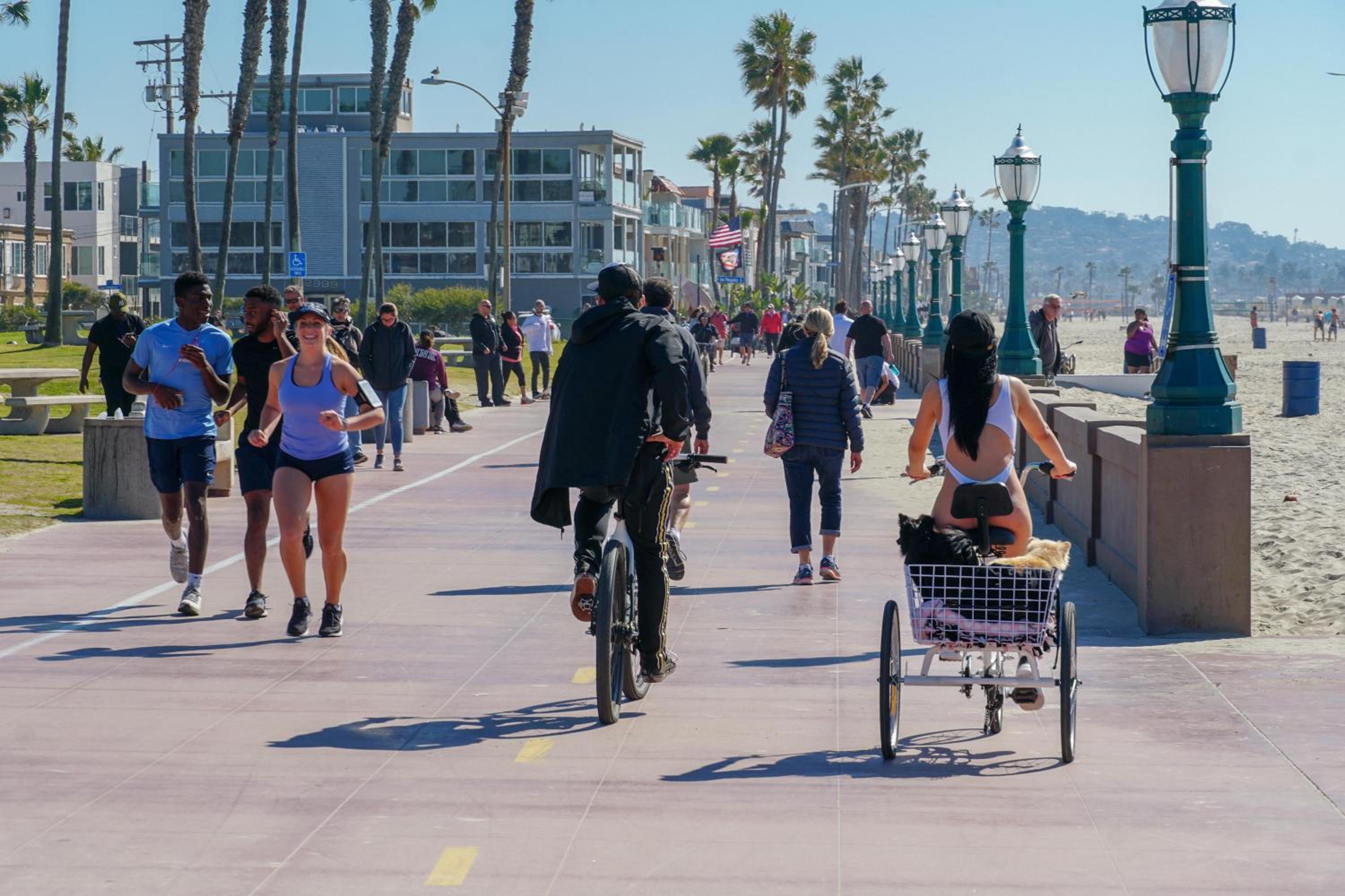 Beachcomber 2