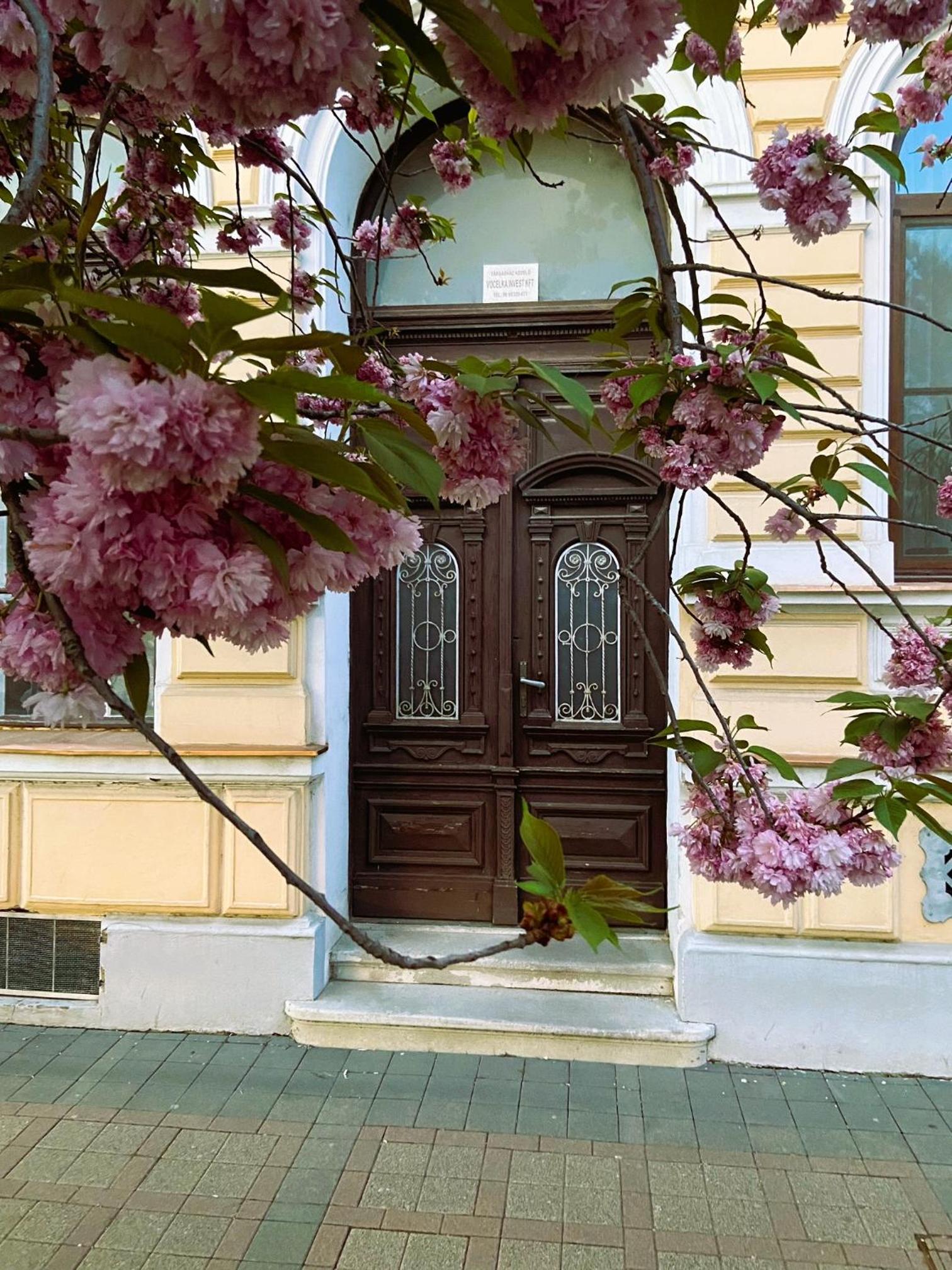 Silentium City Apartman Sárvár view 5