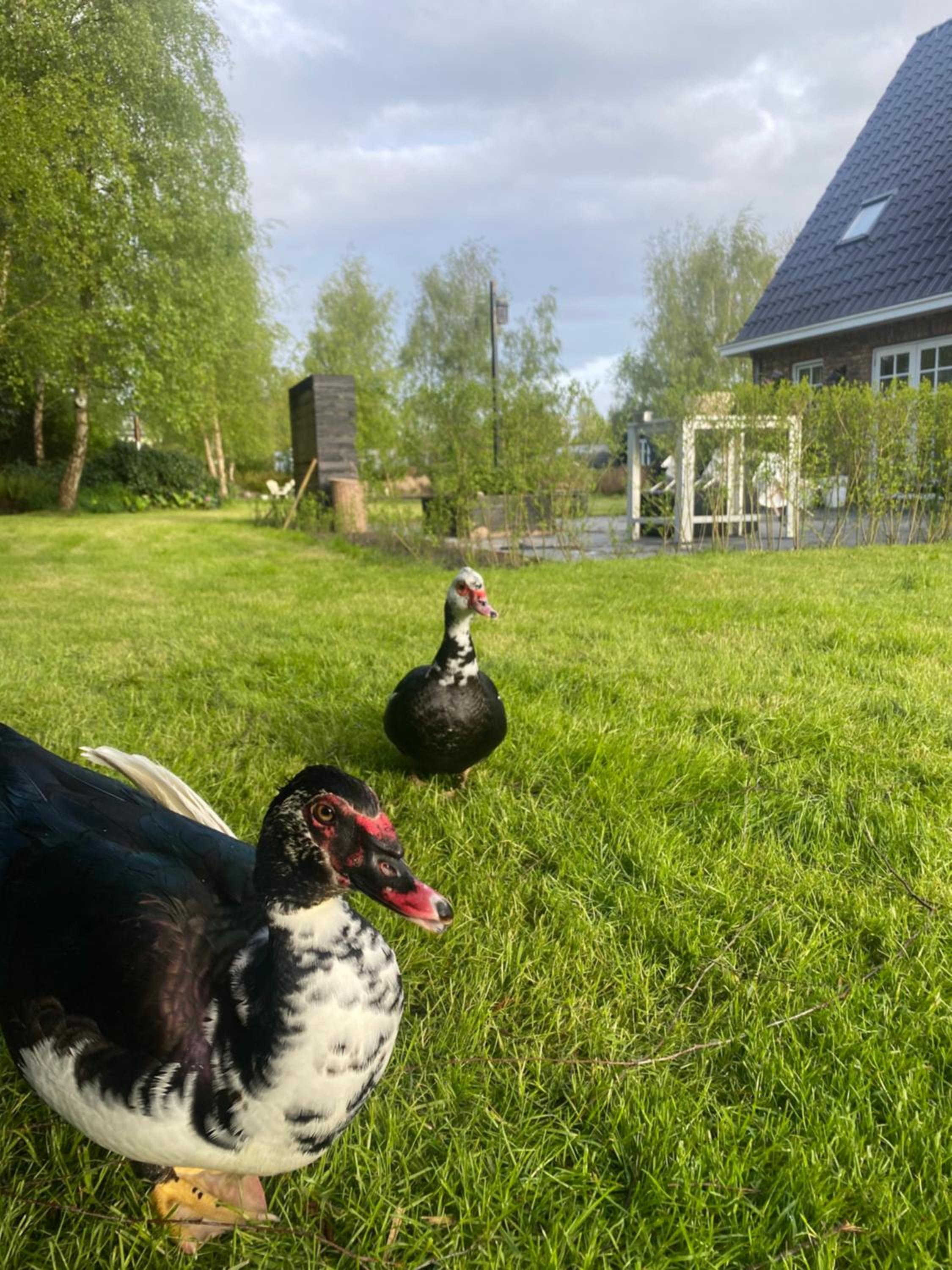 Ecolodge Almere