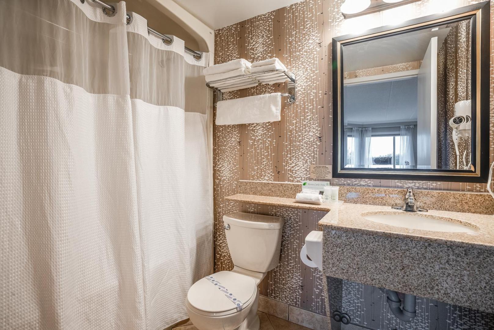 Barrie Vacations - Monte Carlo Inn Barrie - Newly Renovated - Property Image 3
