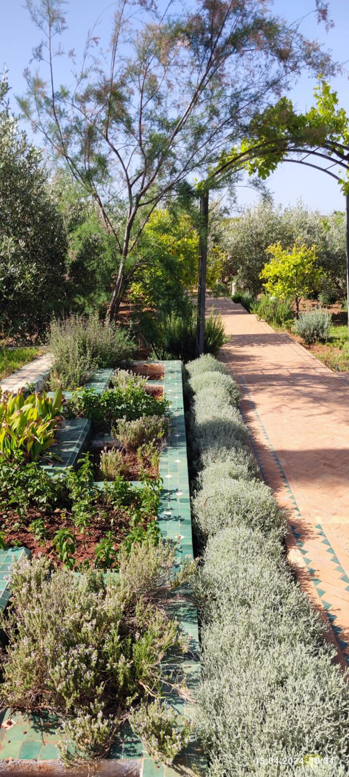 Villa Palmengarten Meknès bei Fes view 2