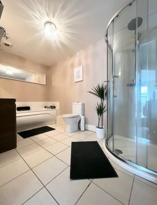 Town Centre 1 Bedroom Apartment view 3