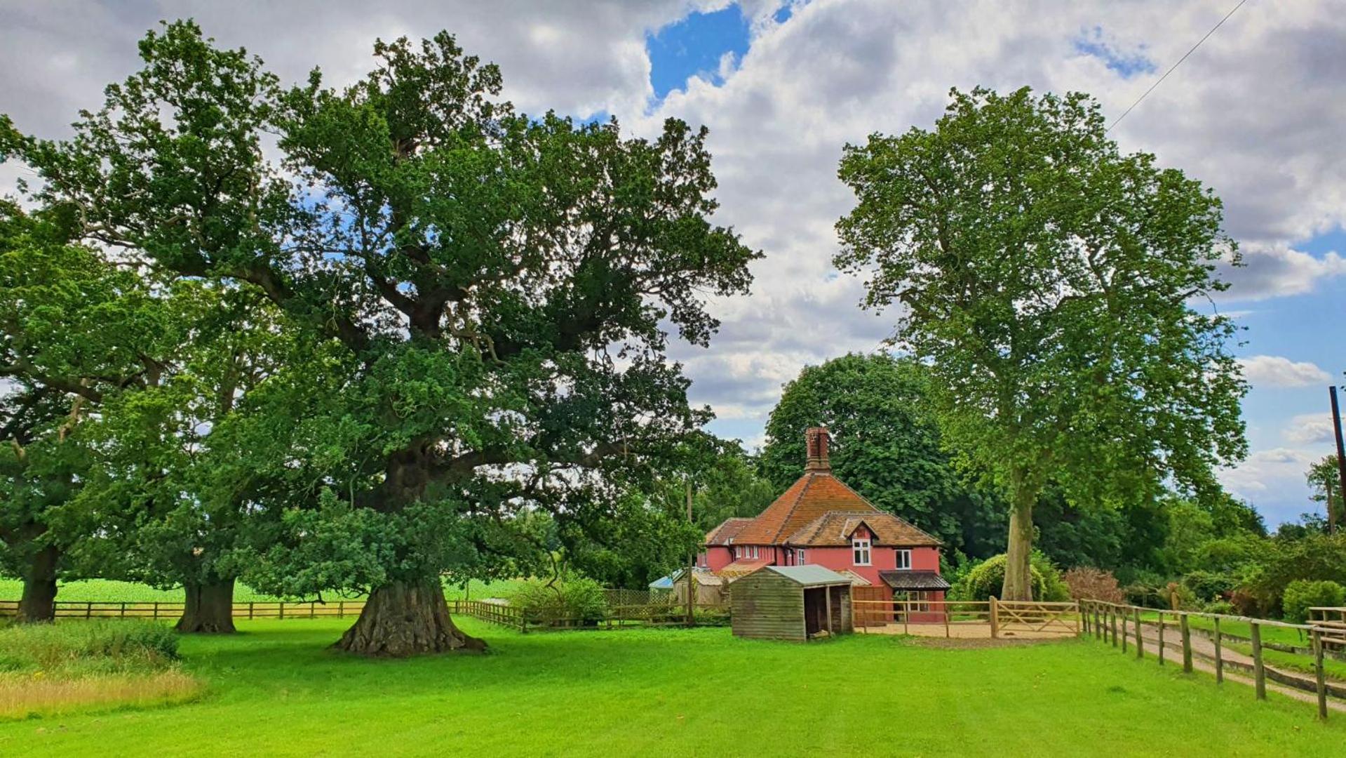 The Garden Cottage view 2