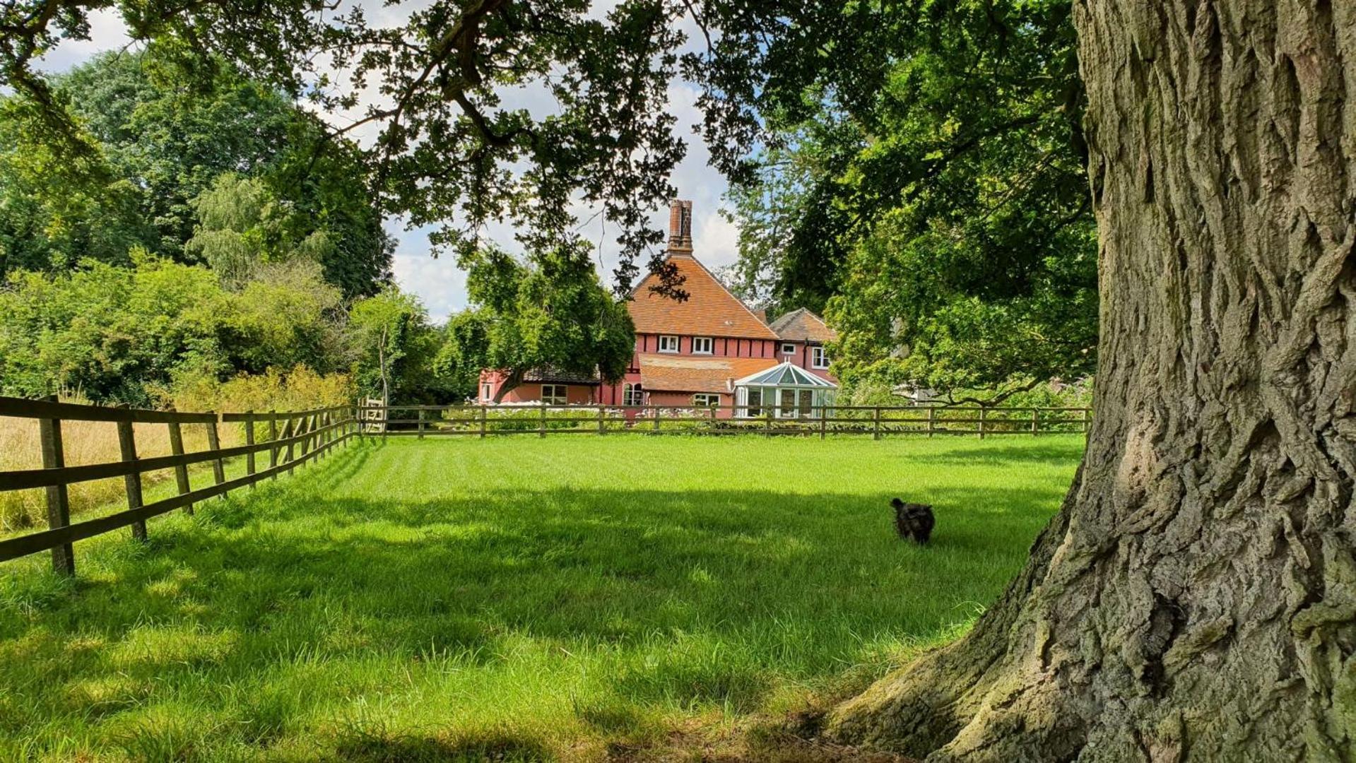 The Garden Cottage view 3