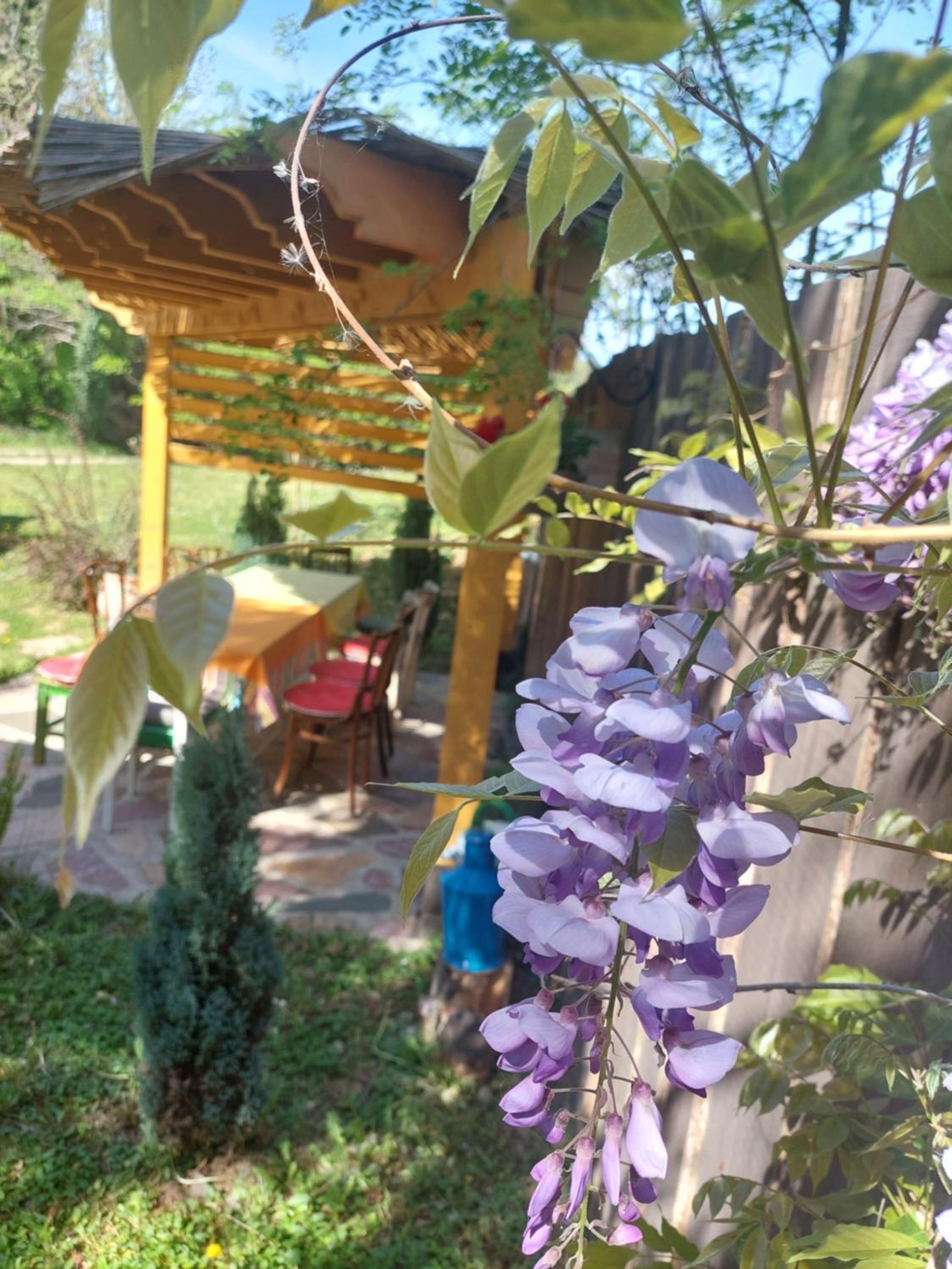 Photo 23